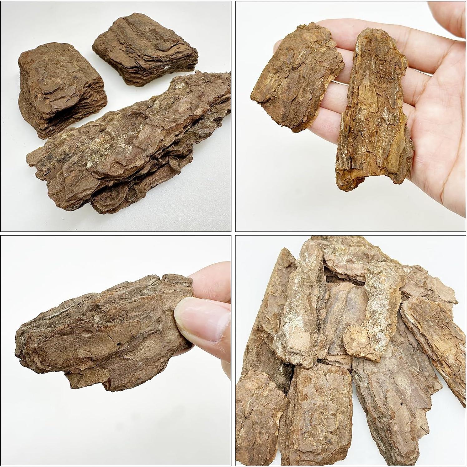 Kit Diorama Cayway 10 PCS Corteza Árbol Miniatura 5-10cm