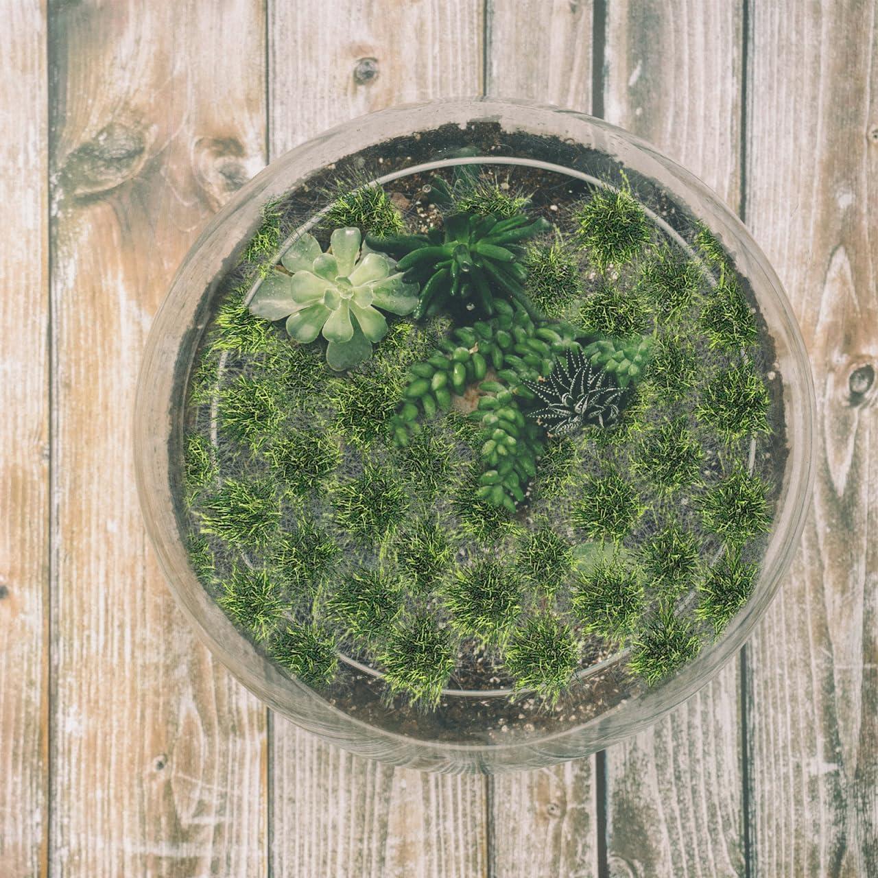 Grupo de Césped Artificial Vaguelly 50 Piezas Resina Verde