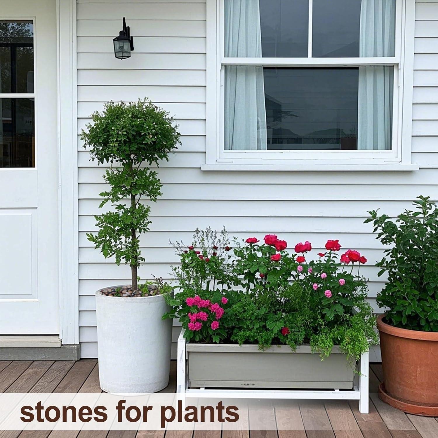 Rocas de Río Pulidas Calofulston 1kg Mezcladas para Jardín