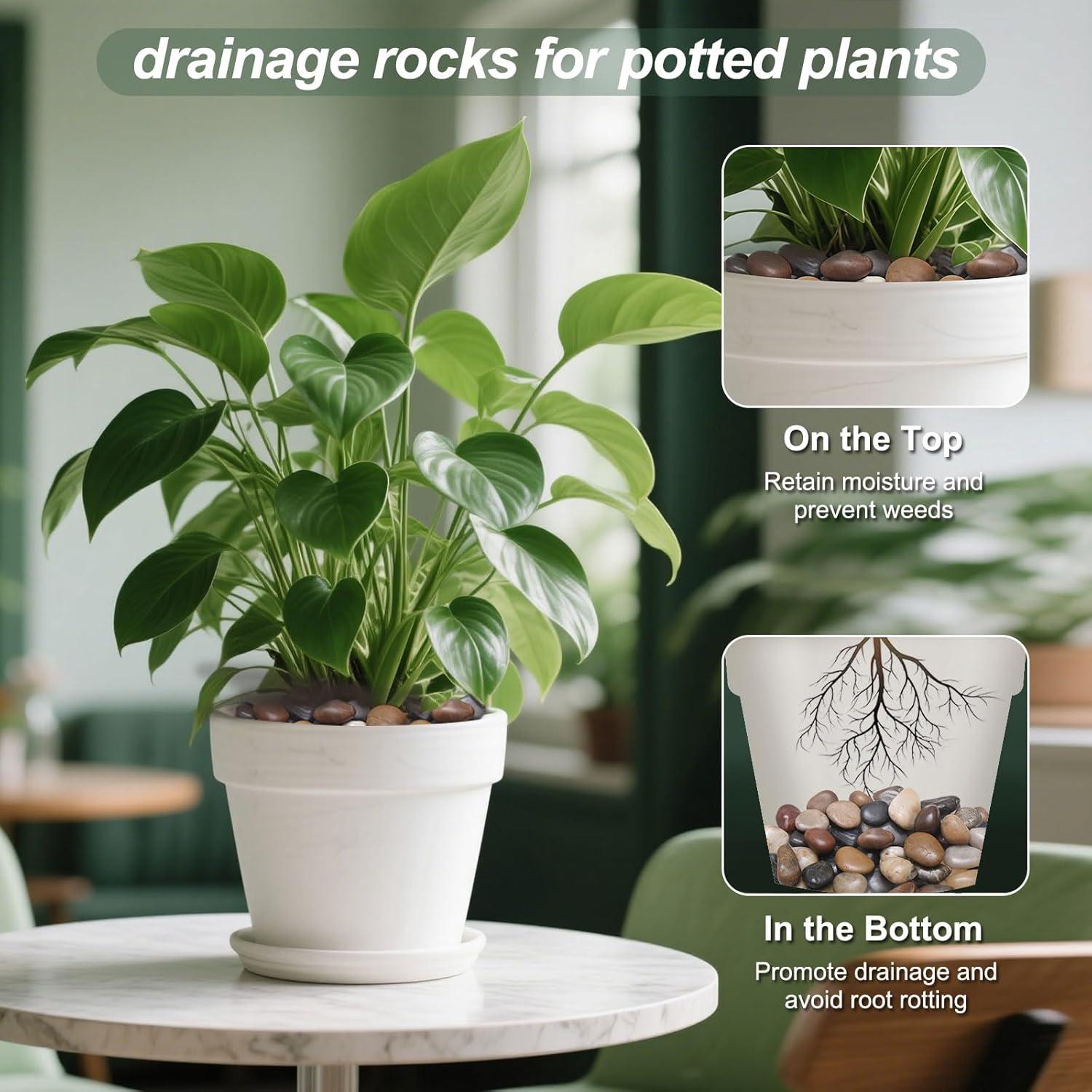 Rocas de Río Pulidas Calofulston 1kg Mezcladas para Jardín