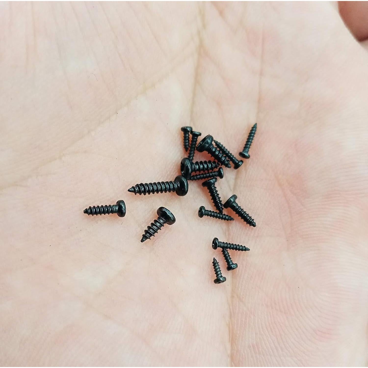 Kit de 750 Tornillos Pequeños M1-M1.7 HanTof Acero al Carbono