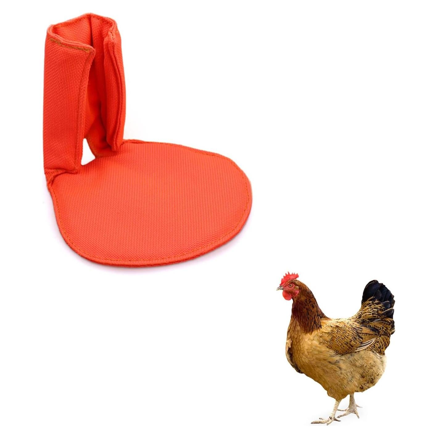 Soporte para Aves vomvomp - Tratamiento para Pies Rotos y Dedos Curvados