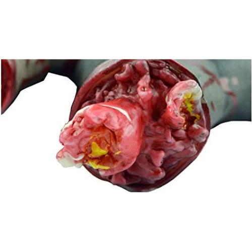 Manos Falsas Decapitadas Halloween Hosfairy 21cm Realistas