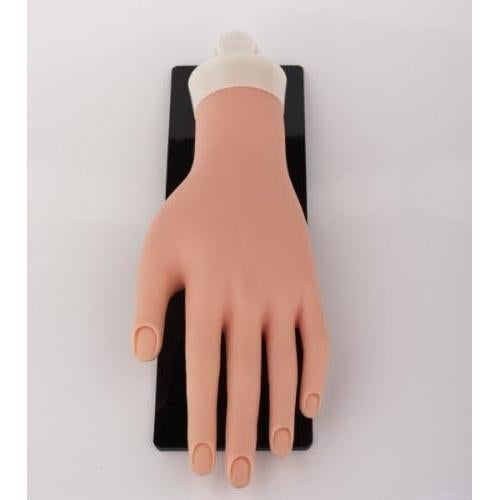Maniquí de Práctica Profesional PracticeHand TR-370 25.4cm