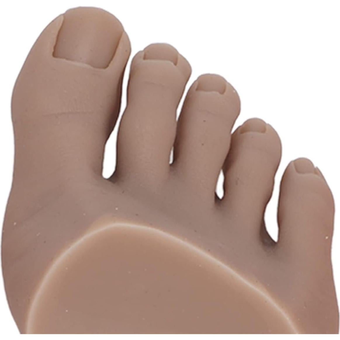 Modelo de Pie Falso de Práctica Fabater - 3 Piezas Silicona