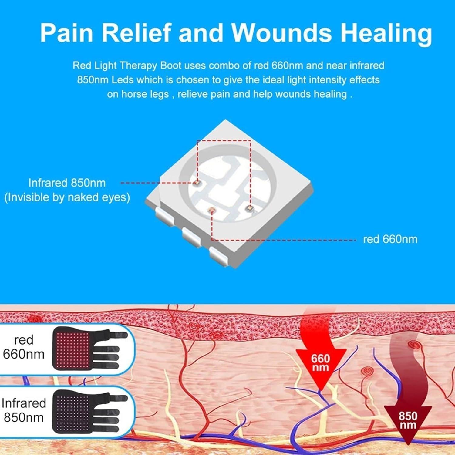 Terapia de Luz Roja para Caballos - Dispositivo LED 660nm/850nm