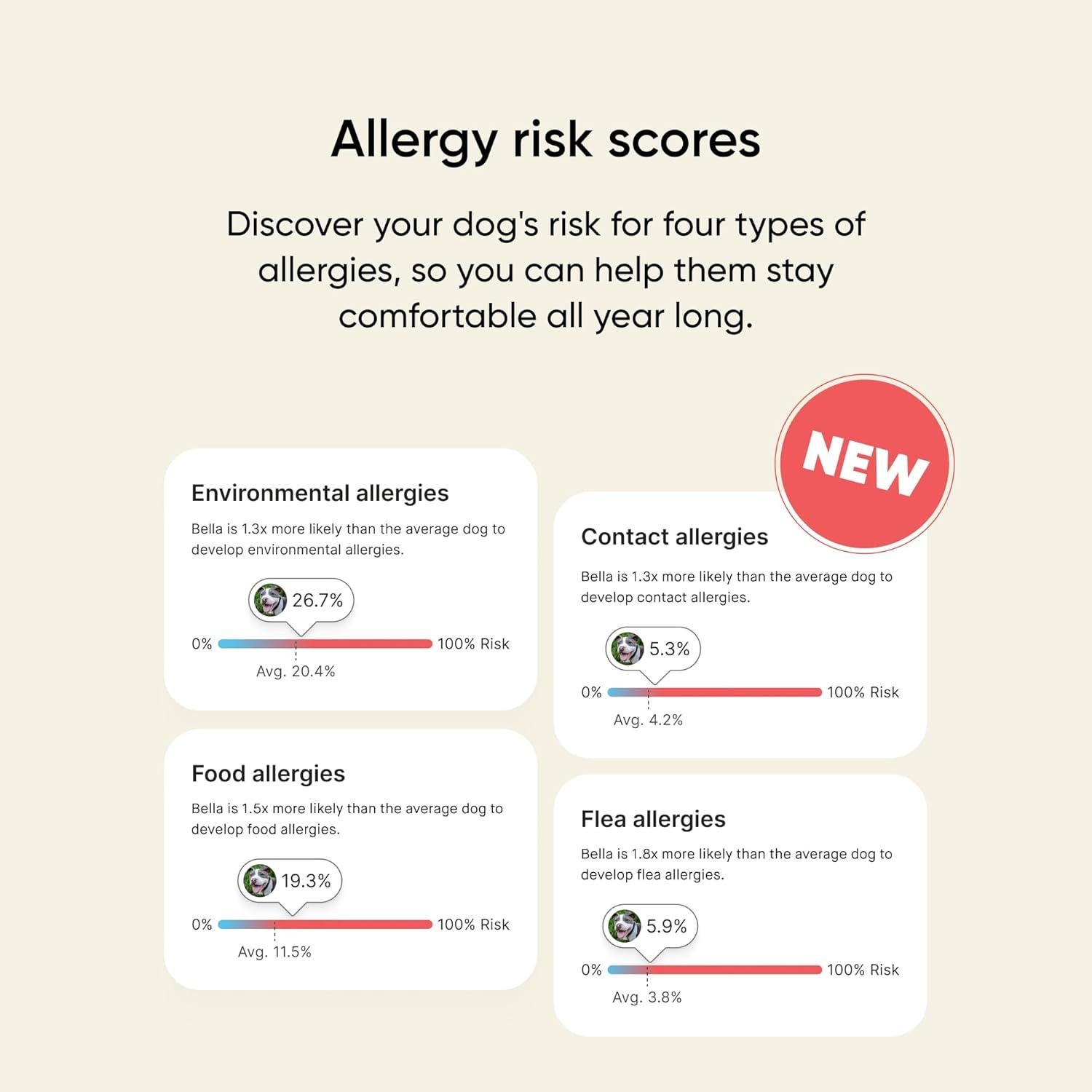 Kit de ADN Canino Embark - Prueba de Raza y Salud