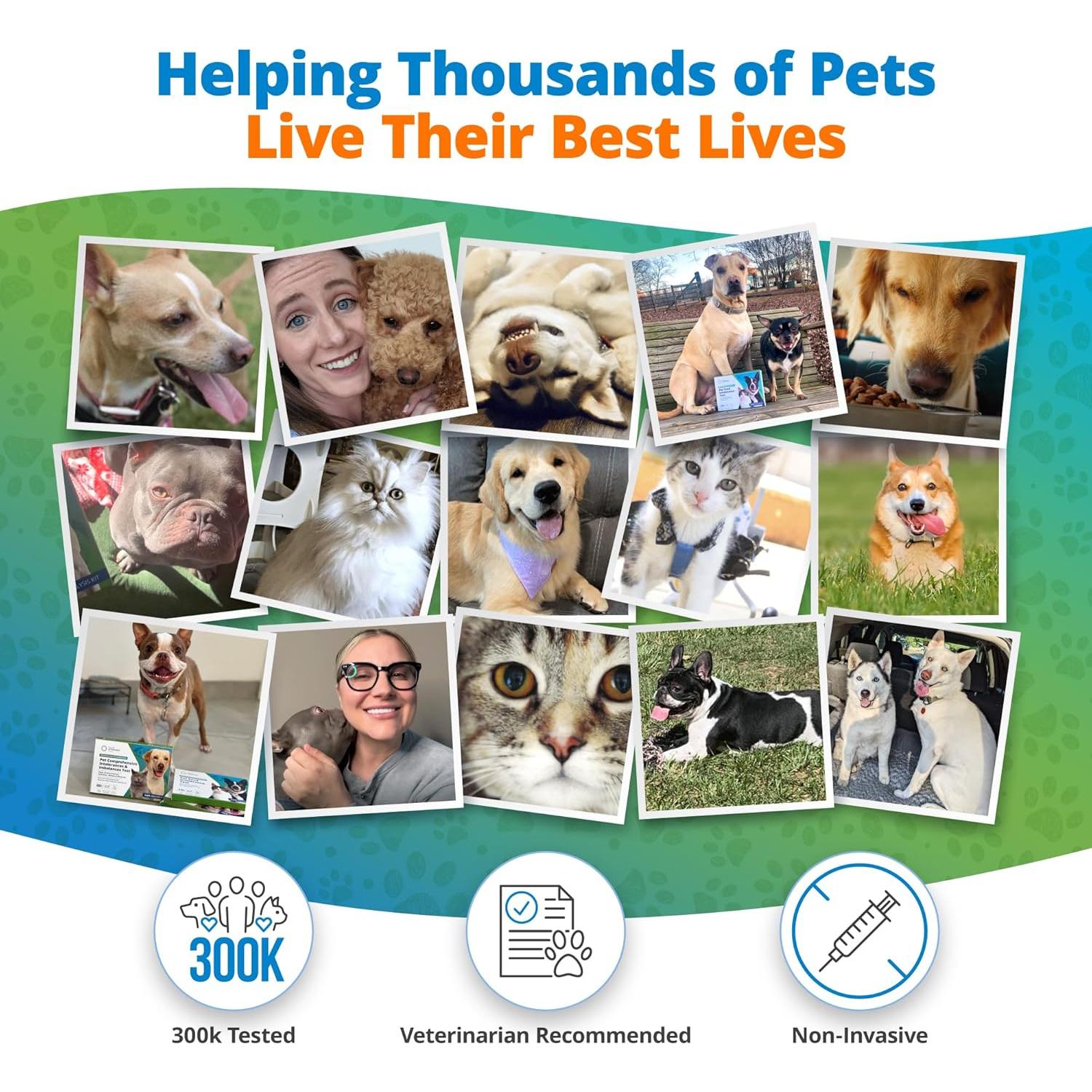 Prueba de Deficiencia Nutricional para Mascotas 5Strands - Resultados en 7 Días