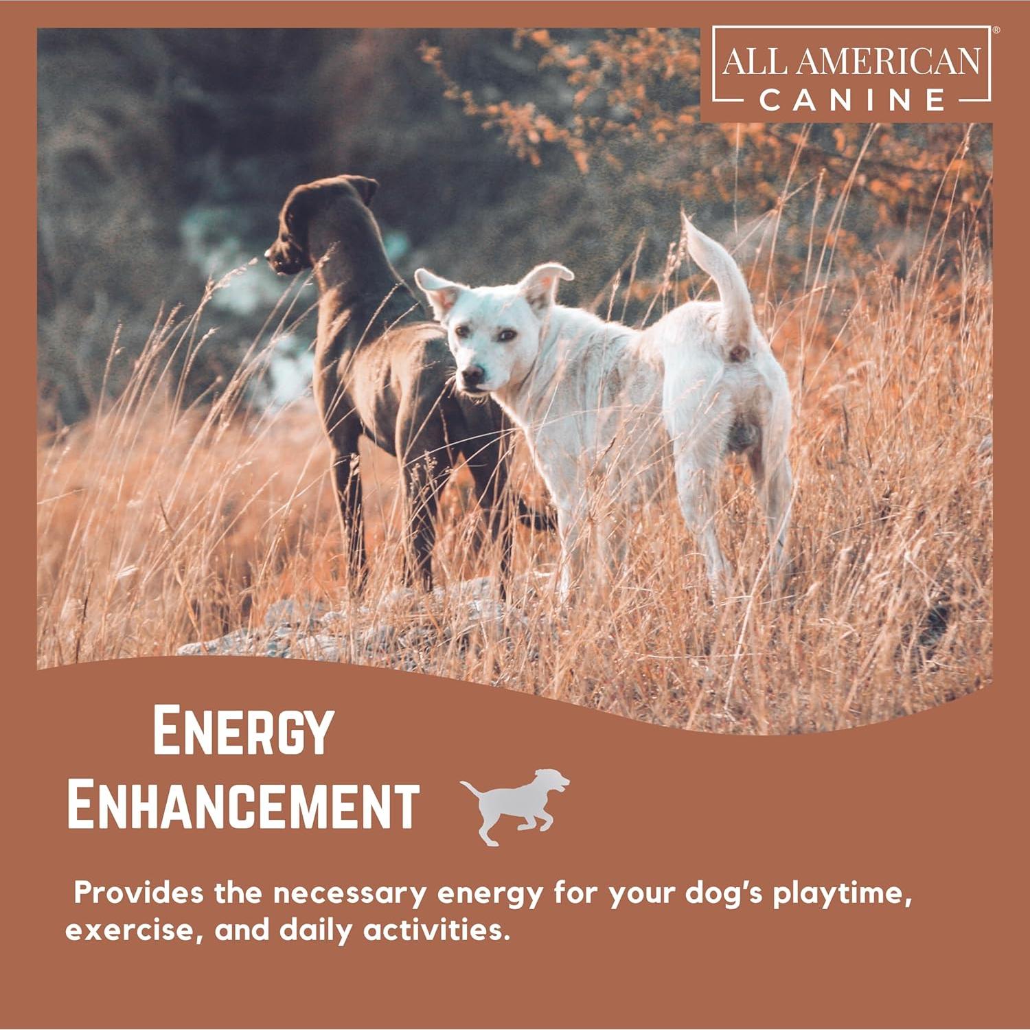 Dog Weight Gainer – High Calorie Dog Food Supplement & Protein Powder for Rapid Weight Gain, Mass, and Recovery – Appetite Stimulant – 60 Servings