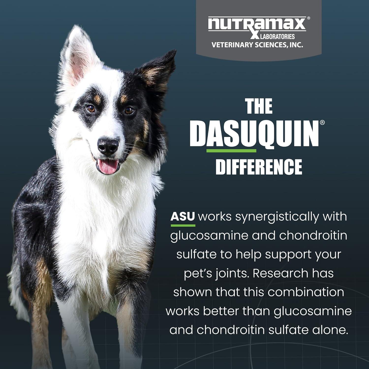 Dasuquin con MSM Masticables Nutramax 150 Tabletas Perro Pequeño/Mediano