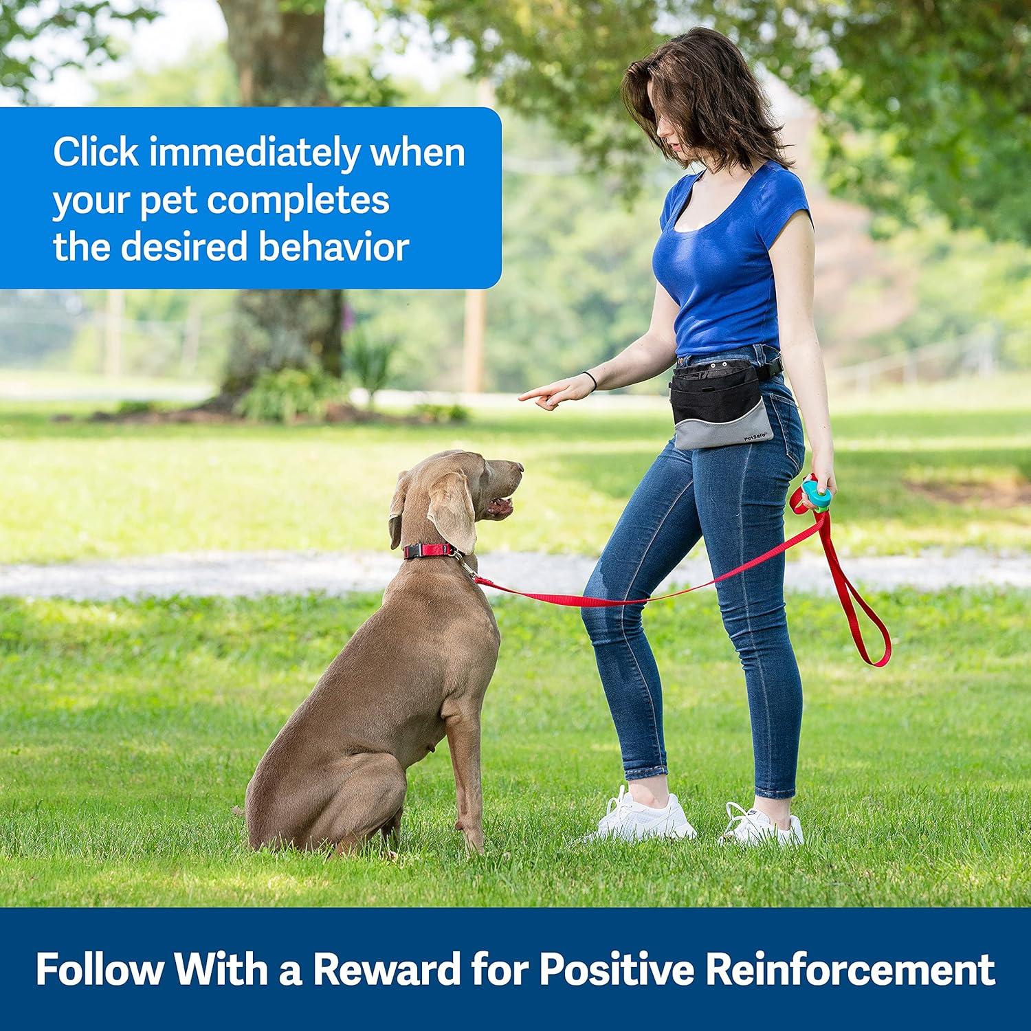 Clicker de Entrenamiento PetSafe Clik-R para Perros y Gatos - Ergonomía y Comodidad