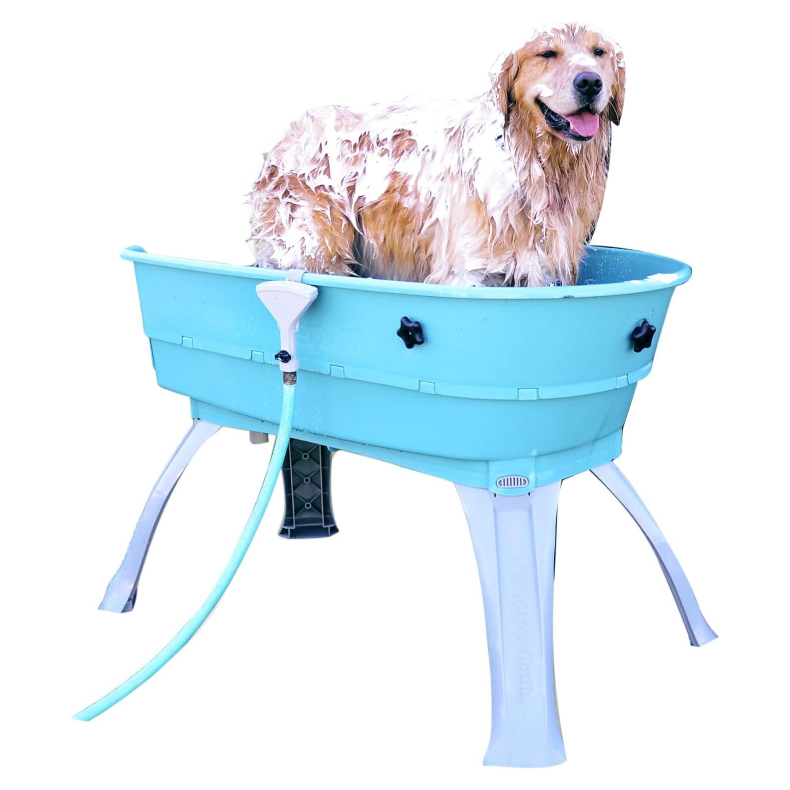 Baño Elevado para Mascotas Booster Bath Grande Verde Azulado