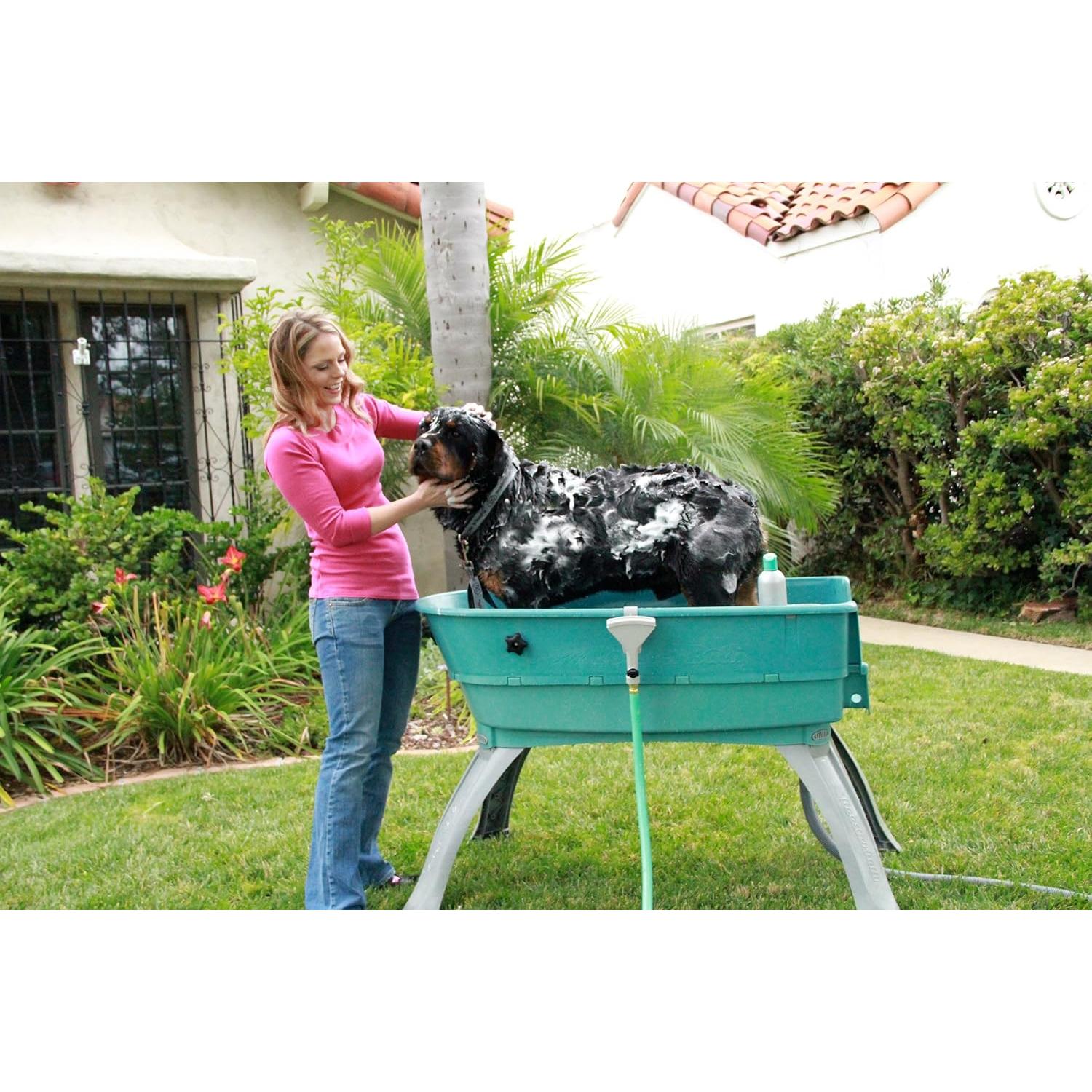 Baño Elevado para Mascotas Booster Bath Grande Verde Azulado