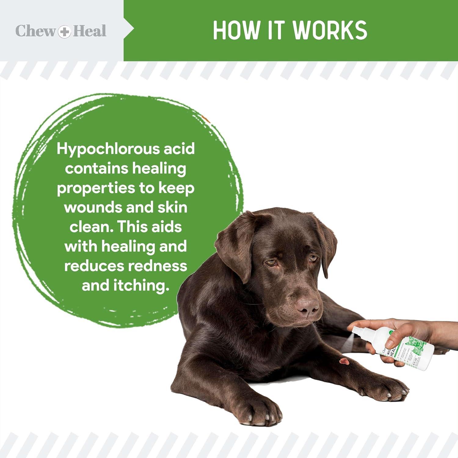 Spray para Heridas de Perros Chew + Heal 113ml - Ácido Hipocloroso