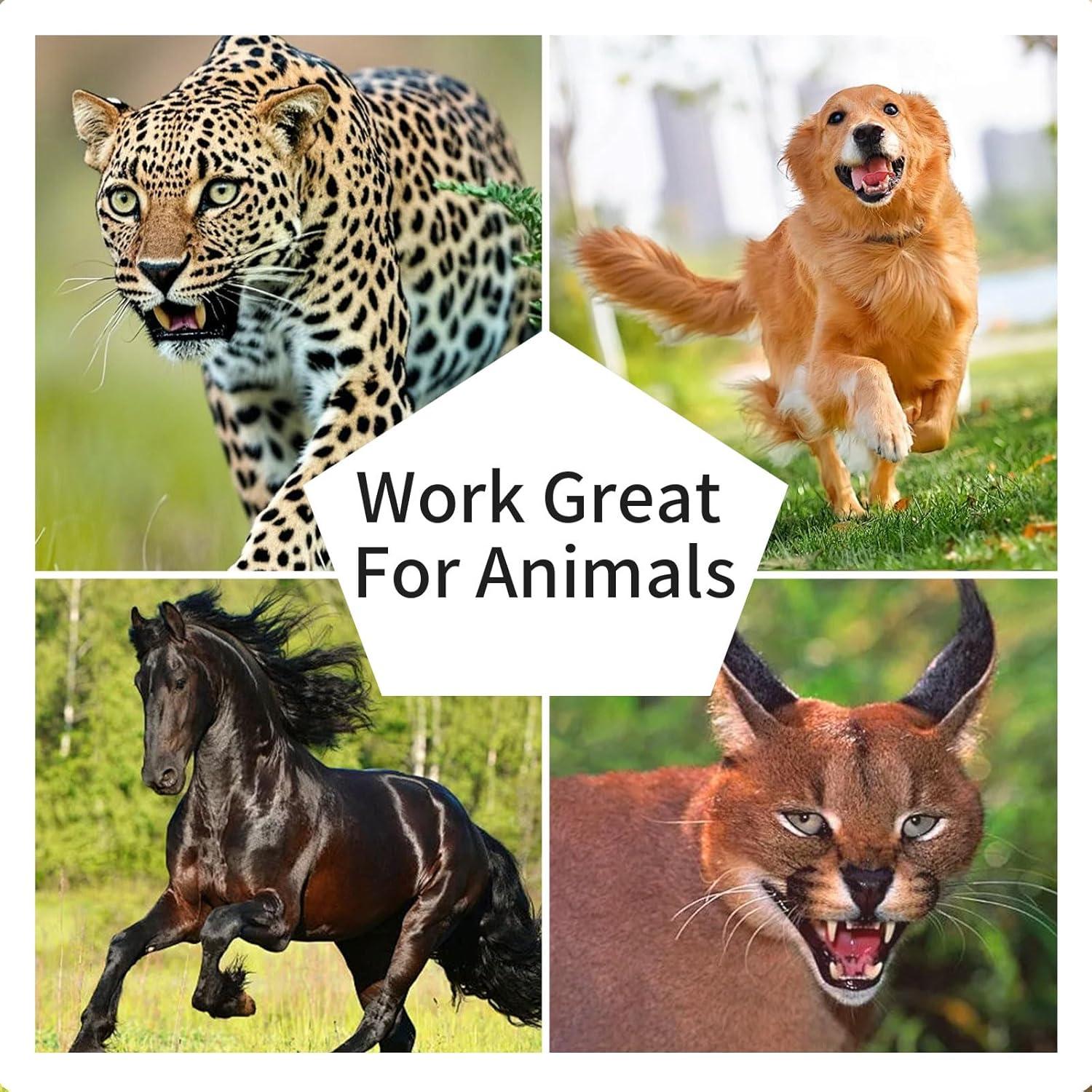 Paquete de 12 Rollos de Gasa Adhesiva Tewloss 15 cm x 4.57 m