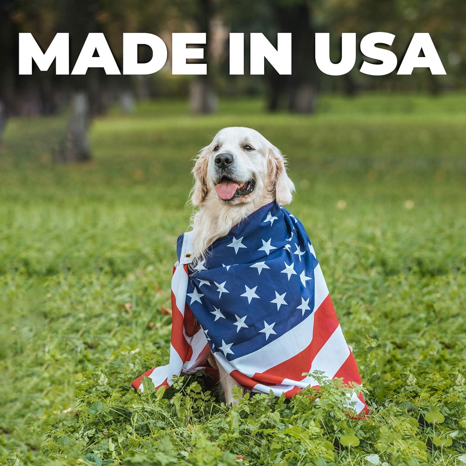 Forticept Maxi Wash Spray 236.6 ml para Cuidado de Heridas en Mascotas