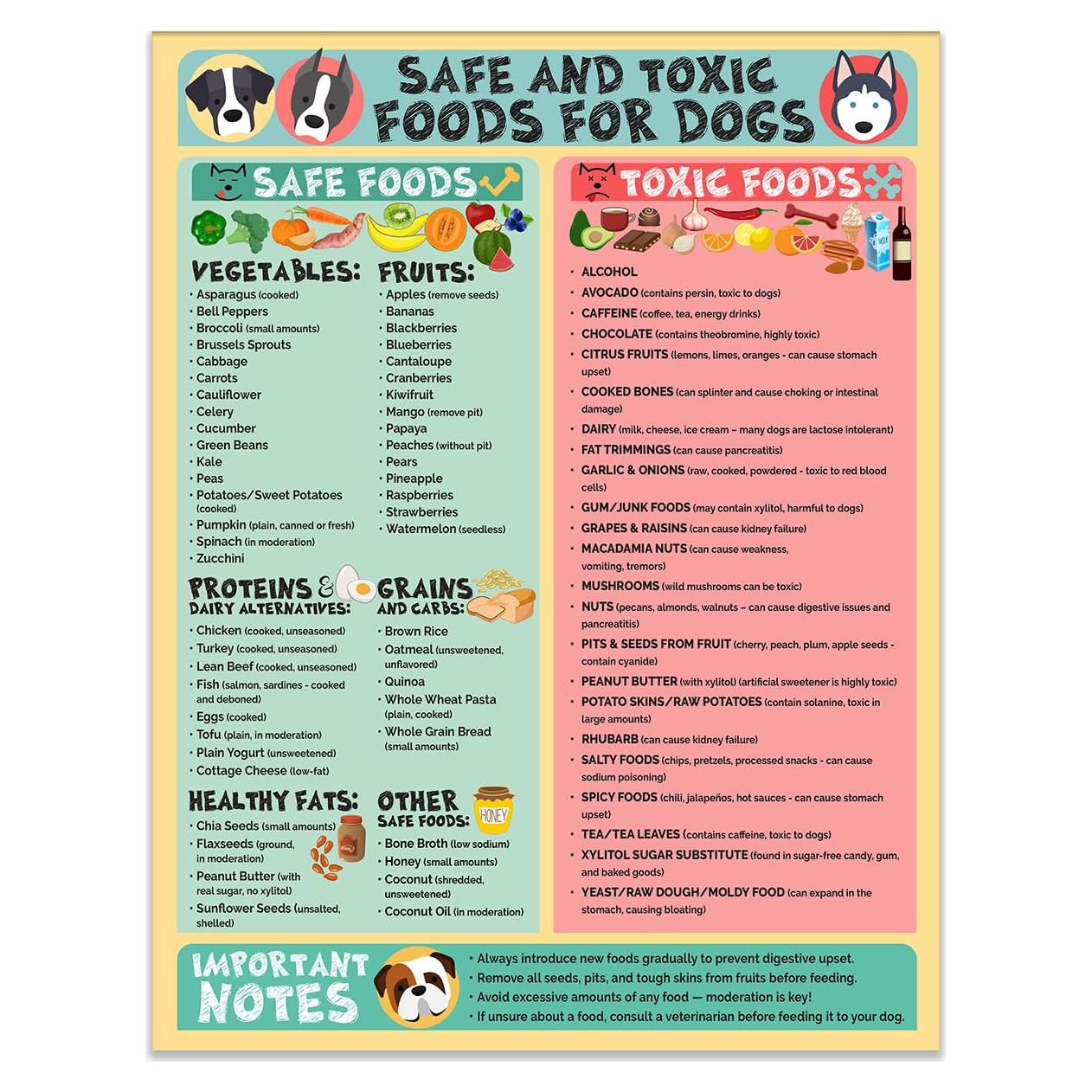 Cartel Imán Alimentos Seguros y Tóxicos para Perros 21.6x27.9 cm