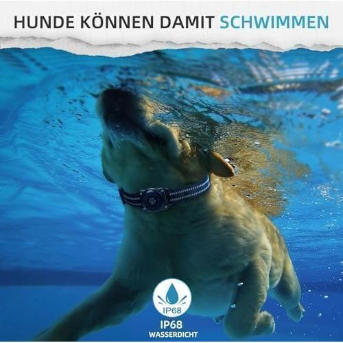 Rastreador GPS para Mascotas Vebiso - Sin Cuota Mensual