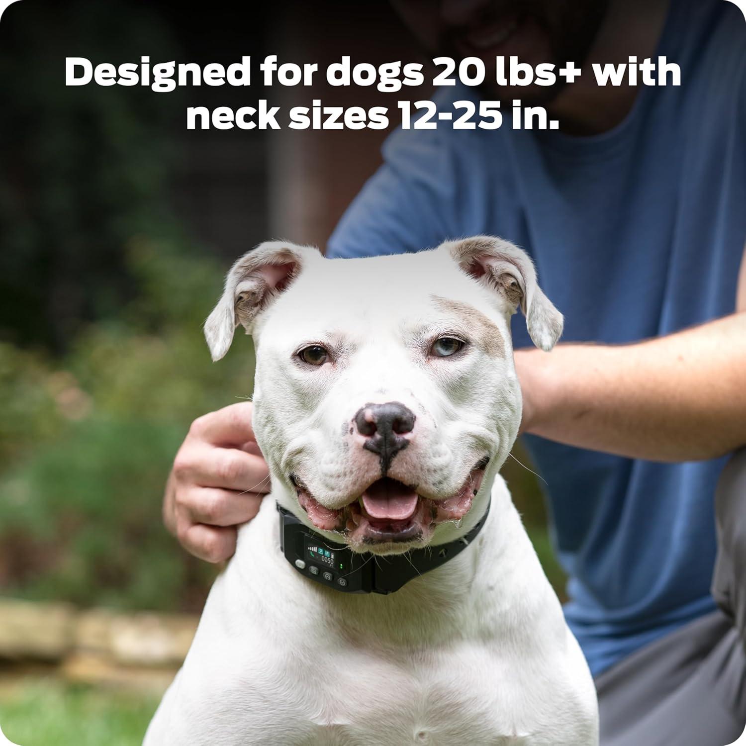 Collar GPS Inalámbrico para Perros Premier Pet - Sumergible, Recargable, 0.30 Hectáreas