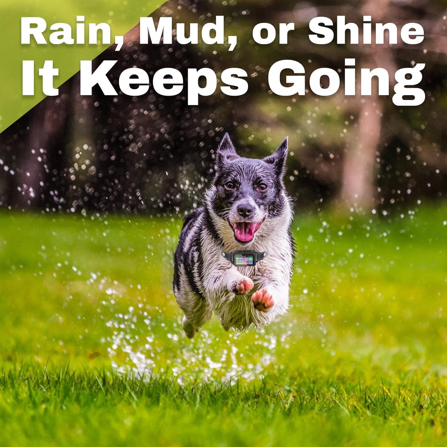 Sistema de Cerca GPS para Perros The Good Pet - Collar LCD Impermeable