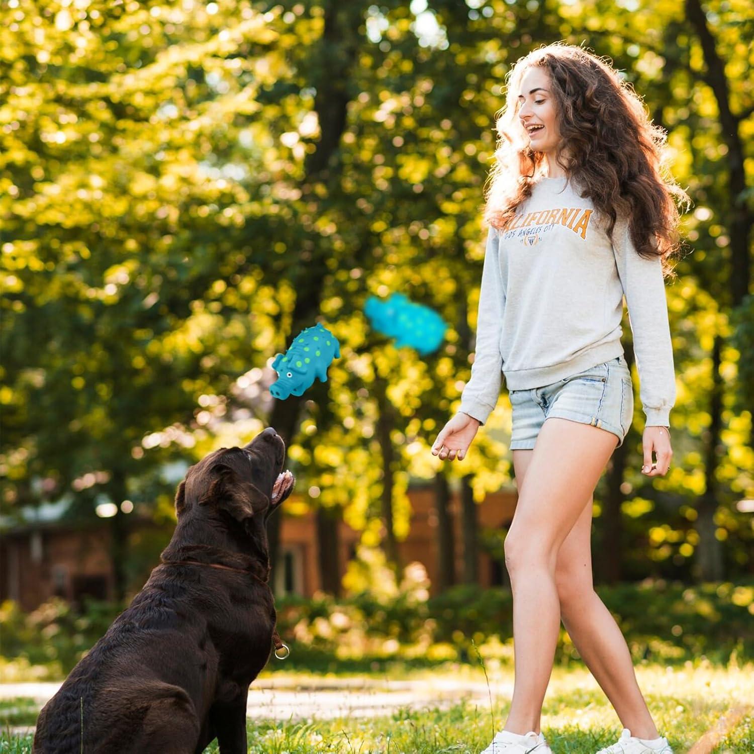 Juguete Squeaky para Perros Andiker 20cm Láttex Cerdo Rosa/Púrpura