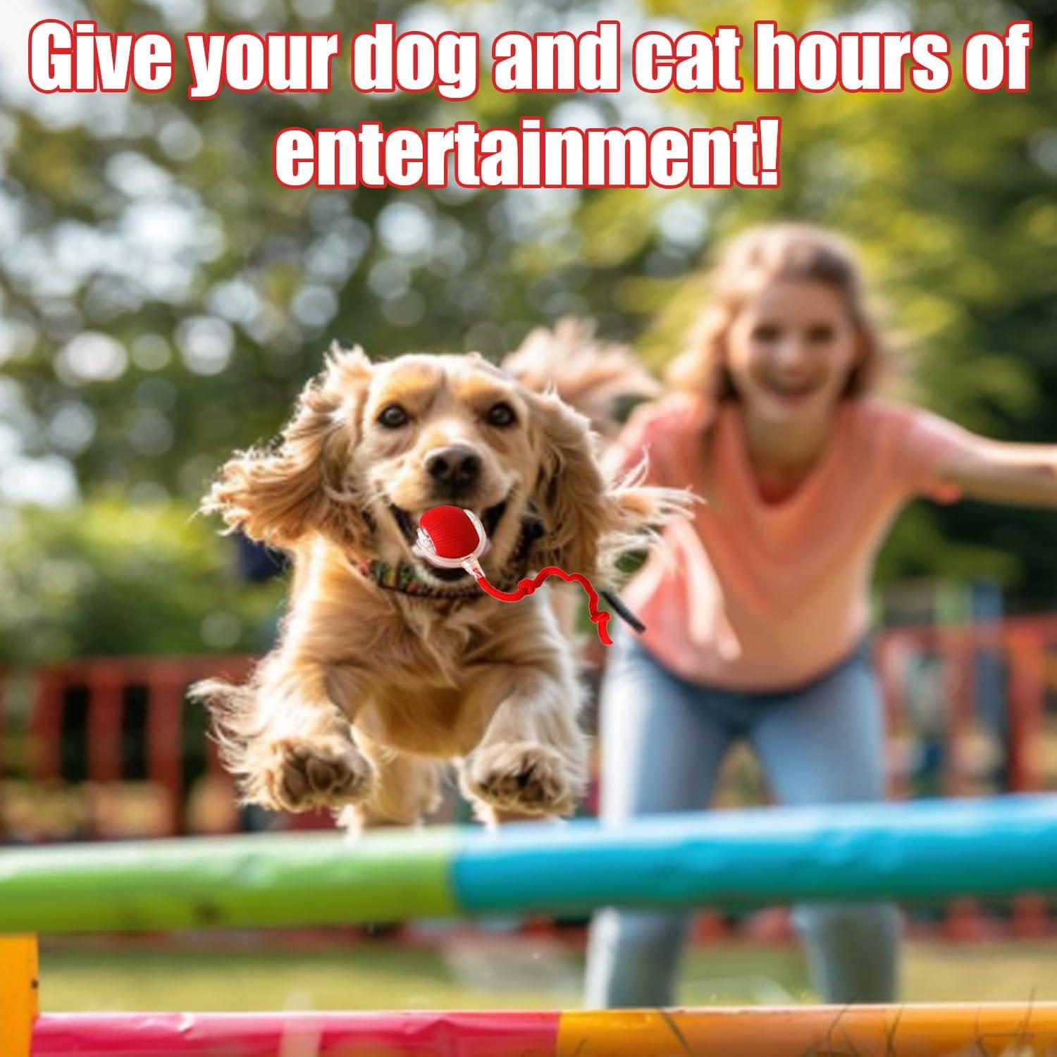 Bola Interactiva para Perros y Gatos Genérico 360° Automática