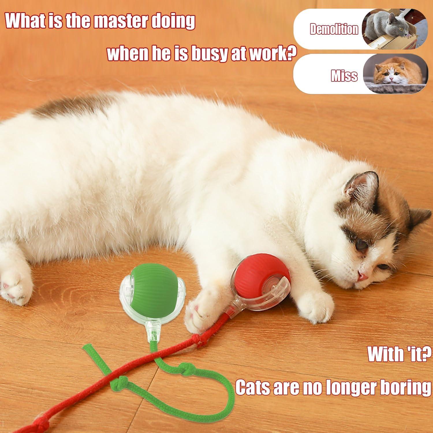 Bola Interactiva para Perros y Gatos Genérico 360° Automática