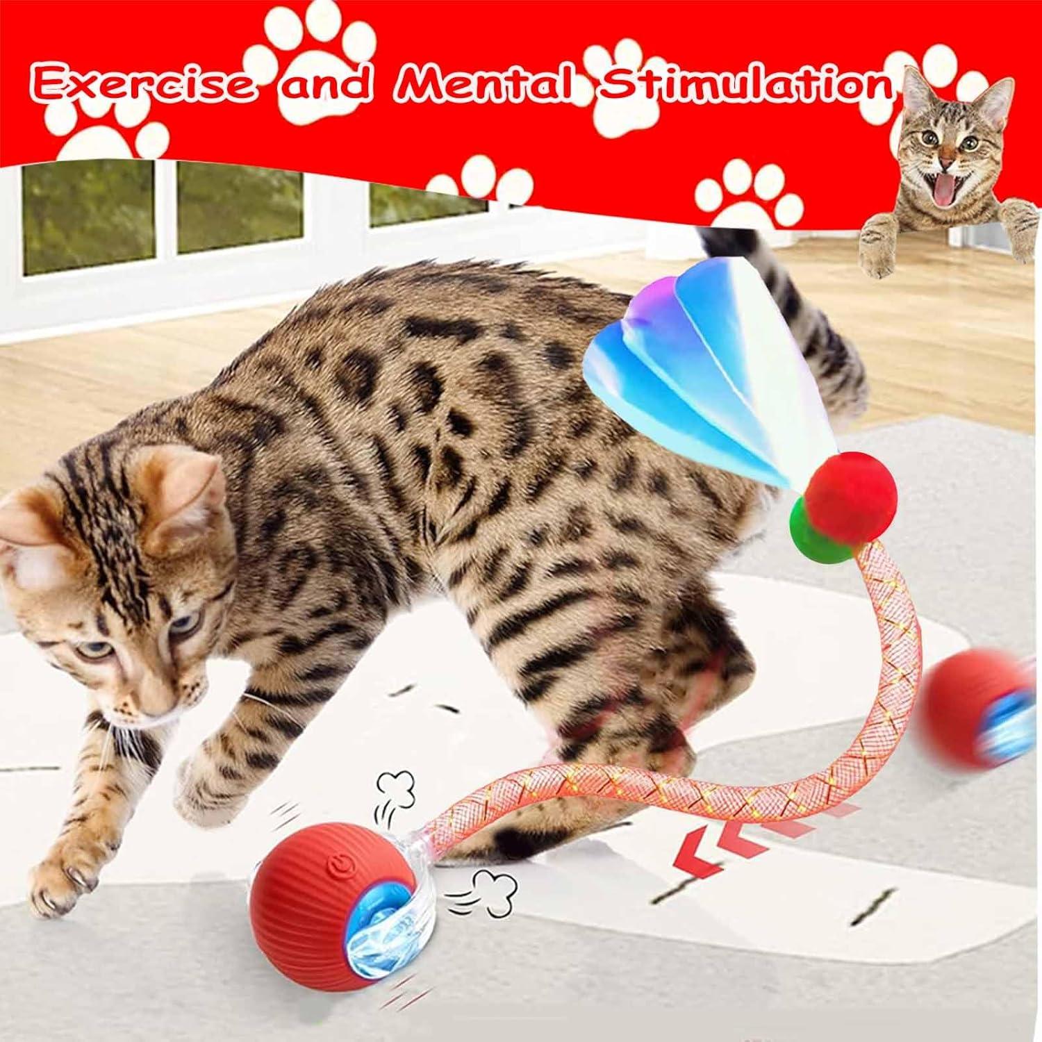 Juguete Interactivo para Gatos y Perros JinRui-T Bola Rodante 2 Pcs