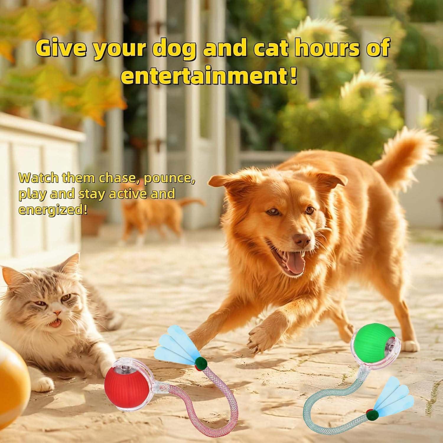 Juguete Interactivo para Gatos y Perros JinRui-T Bola Rodante 2 Pcs