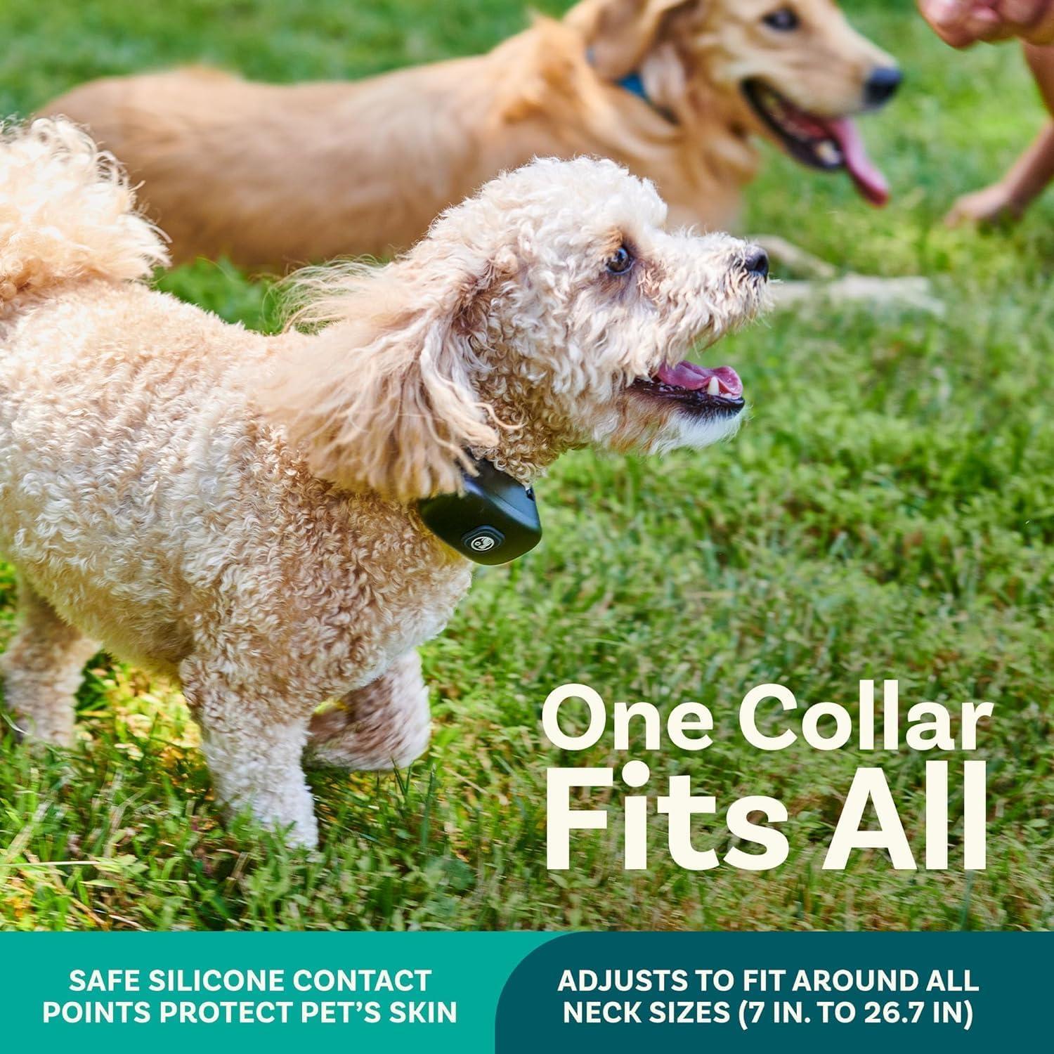 Sistema de Cerca Inalámbrica para Perros PetCove 2 Collares