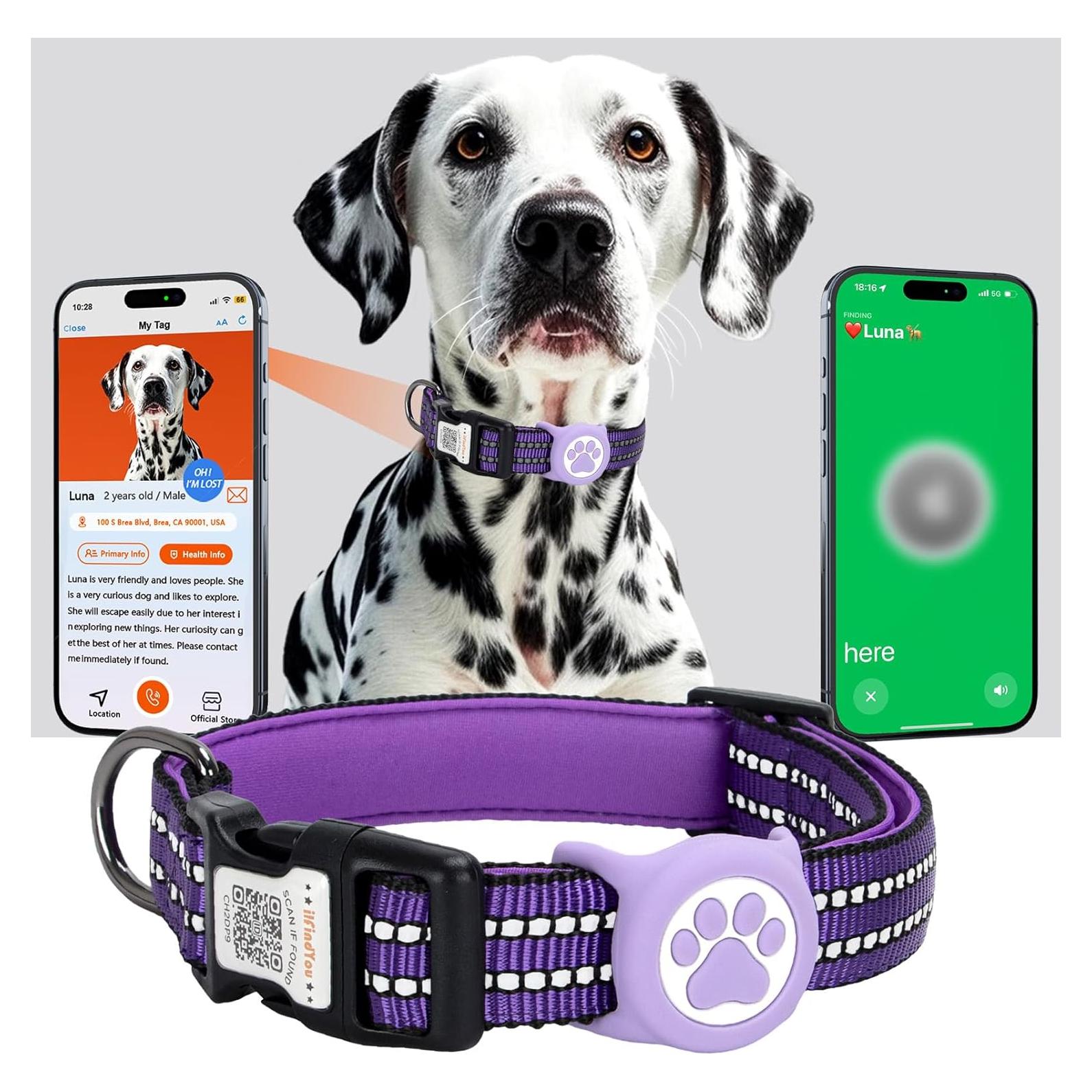 Collar para Perros Medianos ilFindYou AirTag IP68 Reflectante