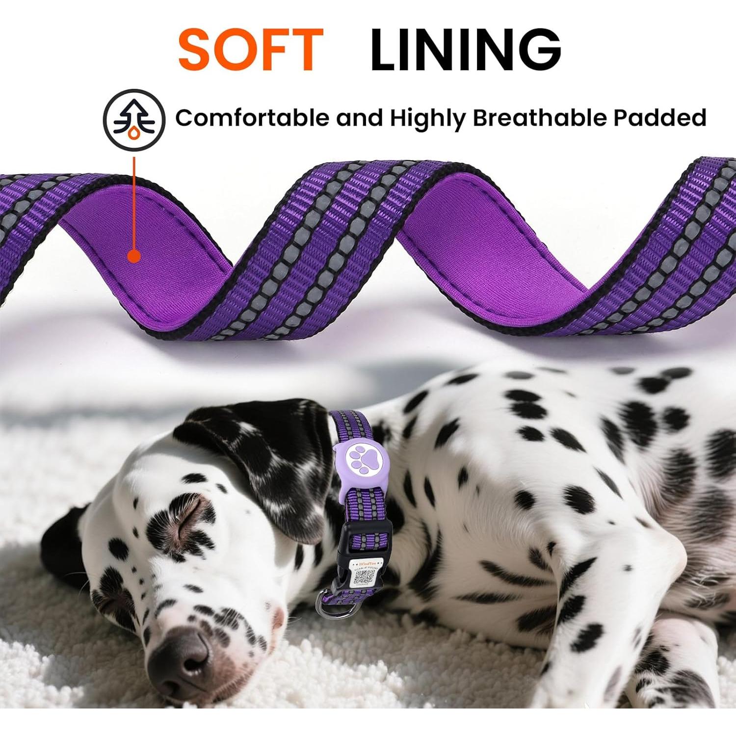 Collar para Perros Medianos ilFindYou AirTag IP68 Reflectante