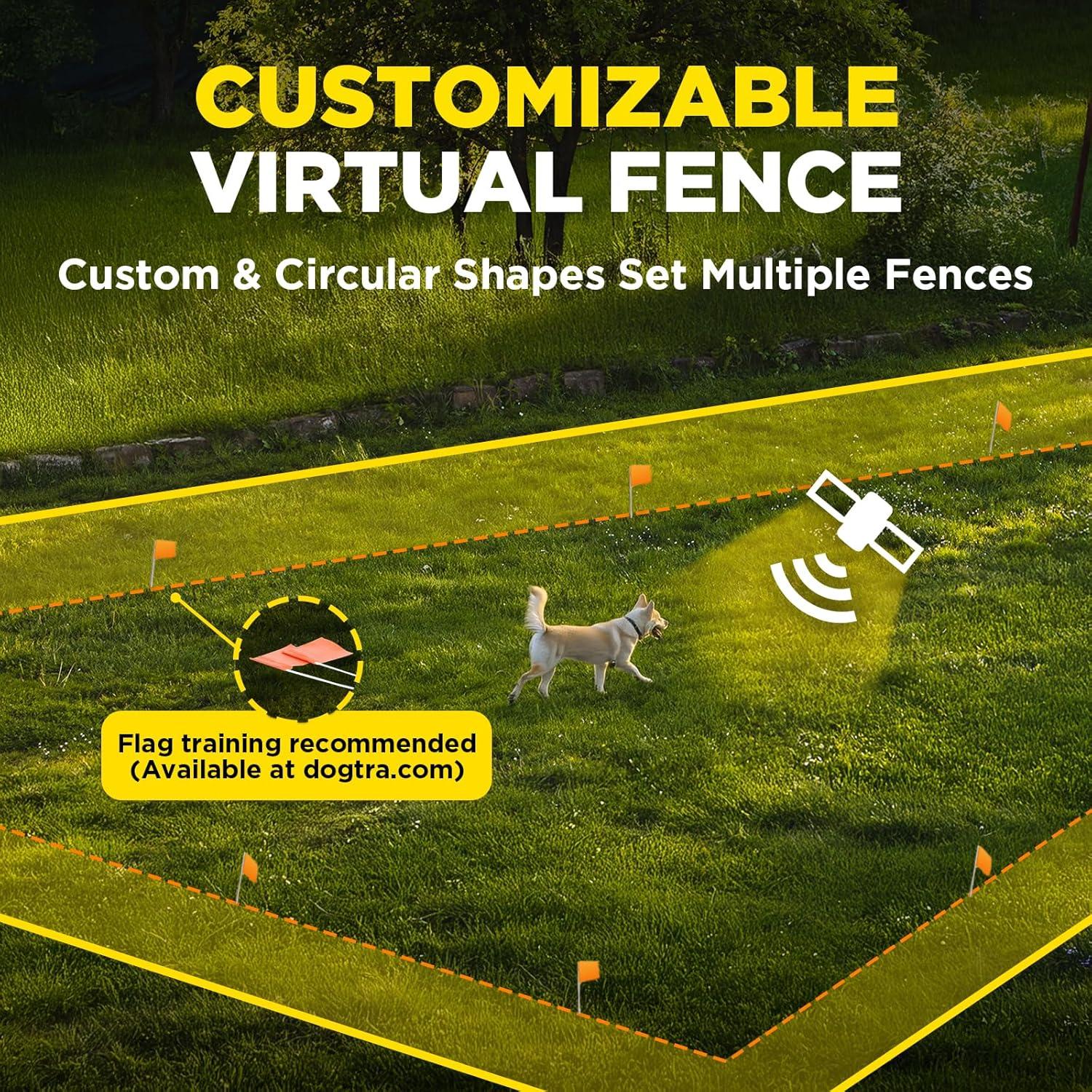 Banderas de Entrenamiento Dogtra para Cerca GPS - 50 Unidades Naranja