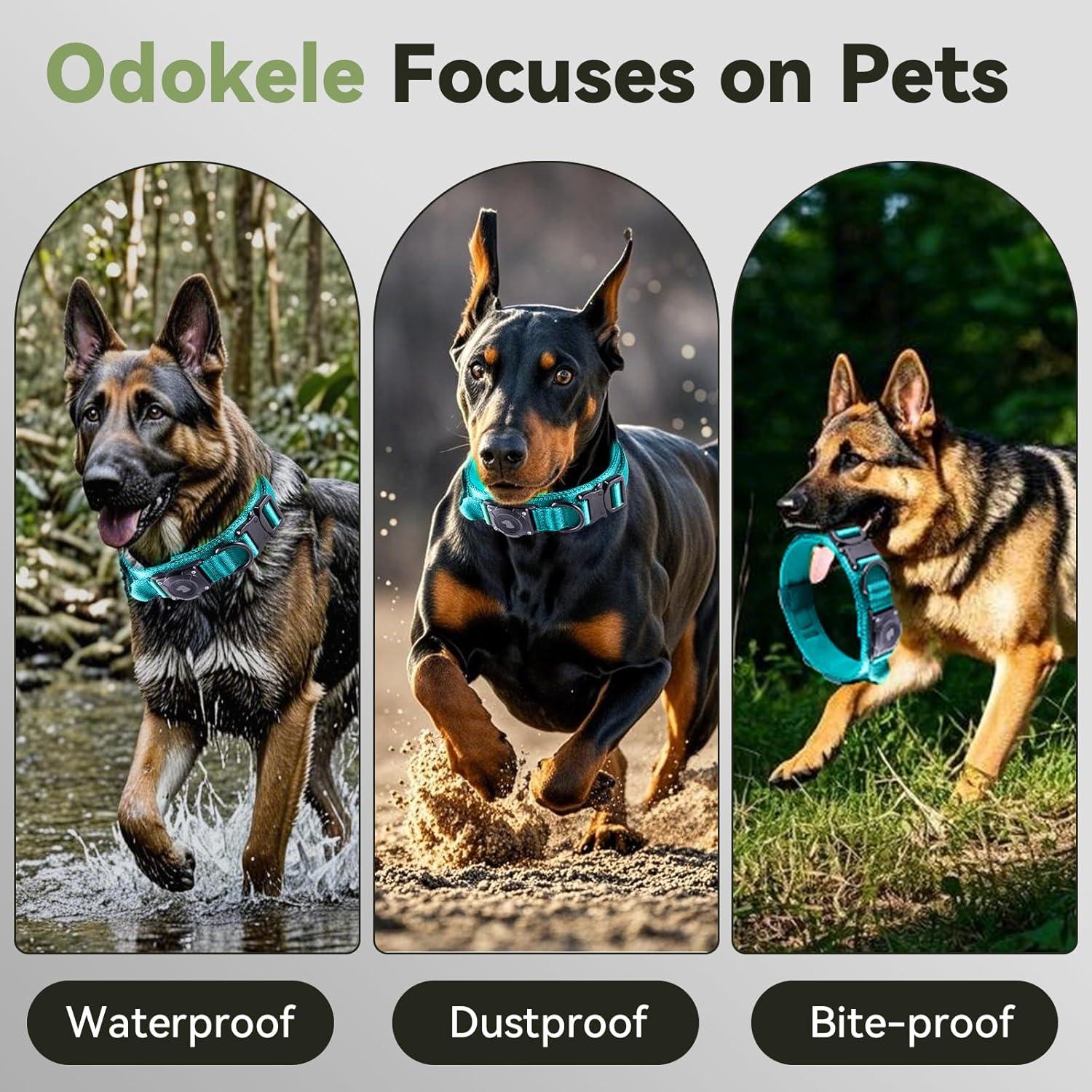 Collar para perro Odokele AirTag L Azul impermeable táctico