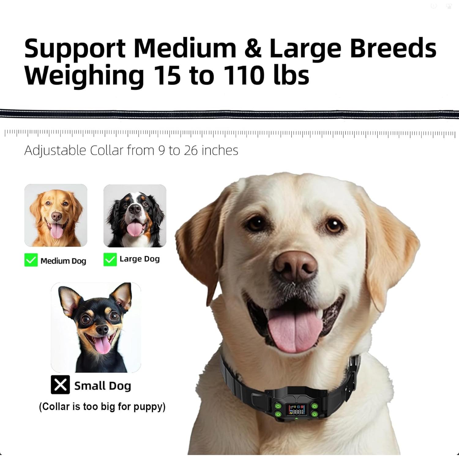 Cerca Invisible para Perros RIXBEO F830PLUS - Collar GPS Impermeable