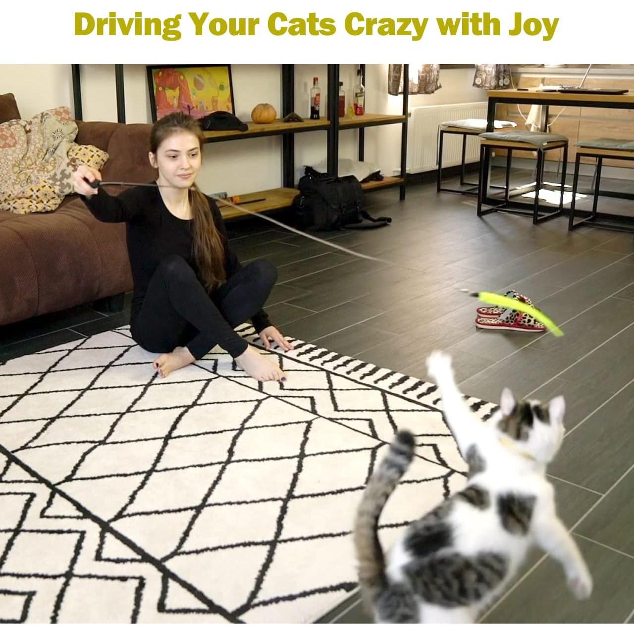 Juguete Interactivo para Gatos MeoHui Varita Telescópica