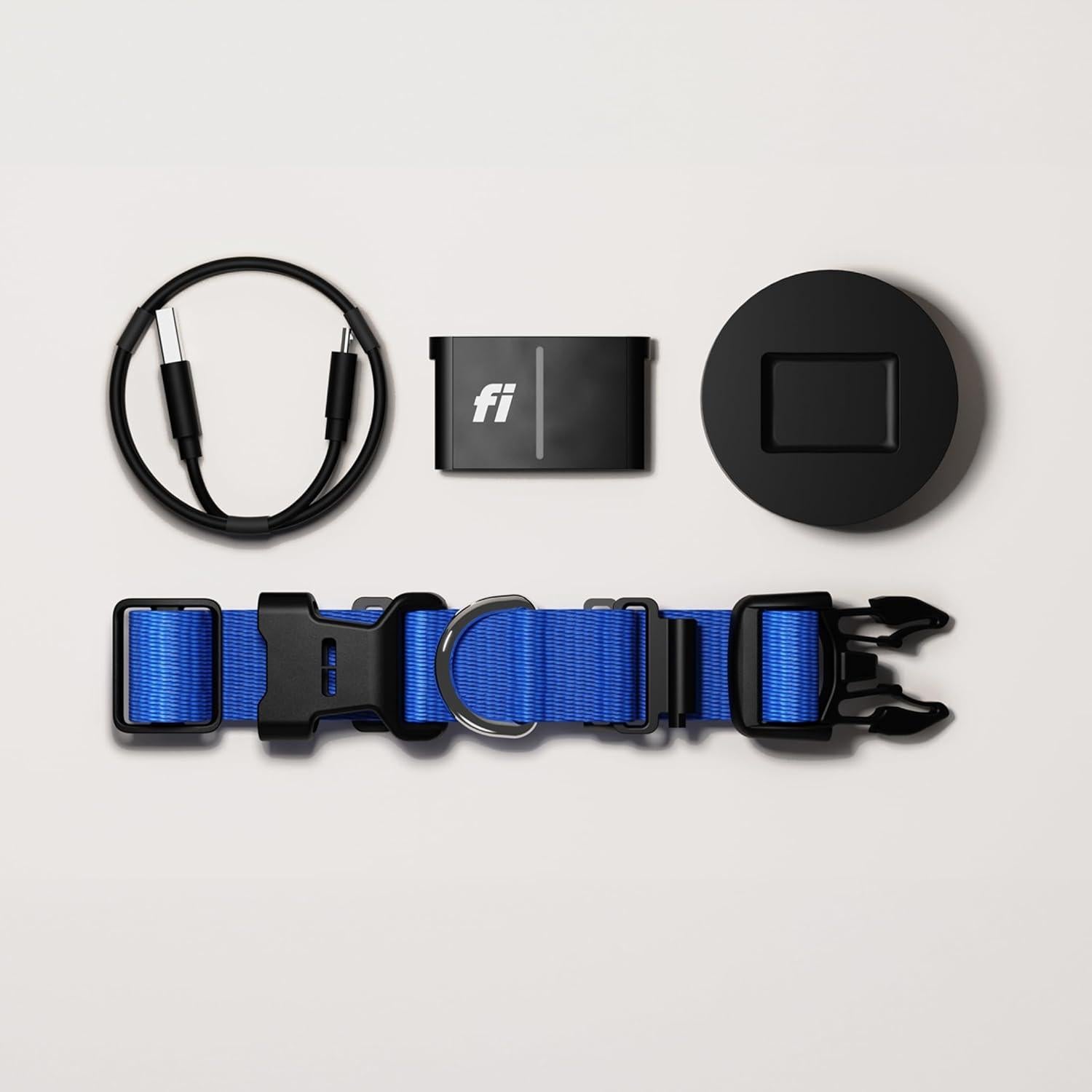 Collar Inteligente para Perros Fi Series 3+ GPS Grande Azul