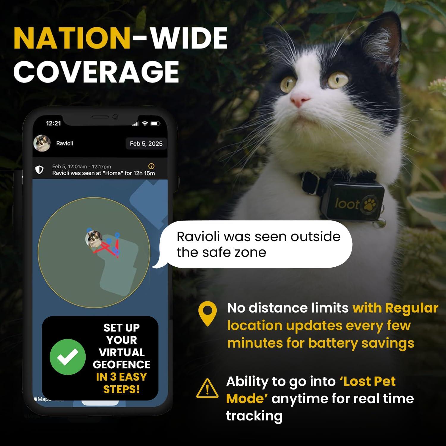 Collar GPS para Gatos LootPaw LPV1TKR - Salud y Actividad