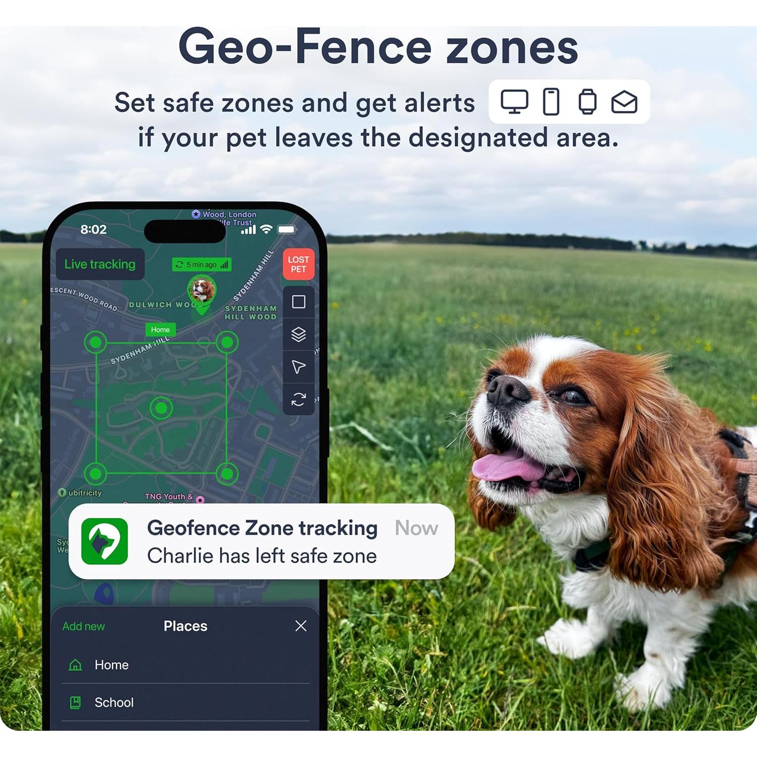 Rastreador GPS para Perros Petloc8 - Impermeable, 7 Días Batería