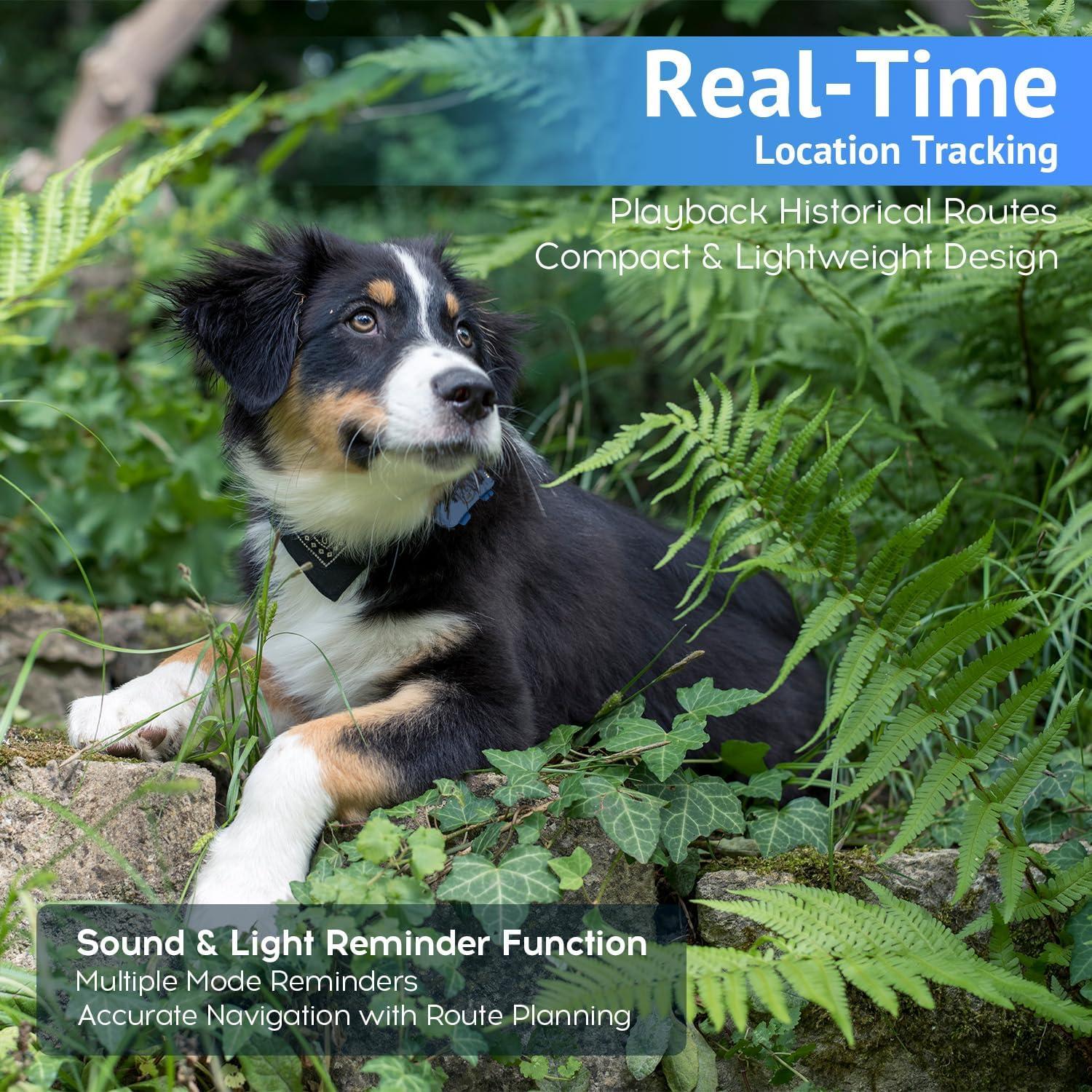 Rastreador GPS para Mascotas SUOFEIYA - Impermeable y en Tiempo Real