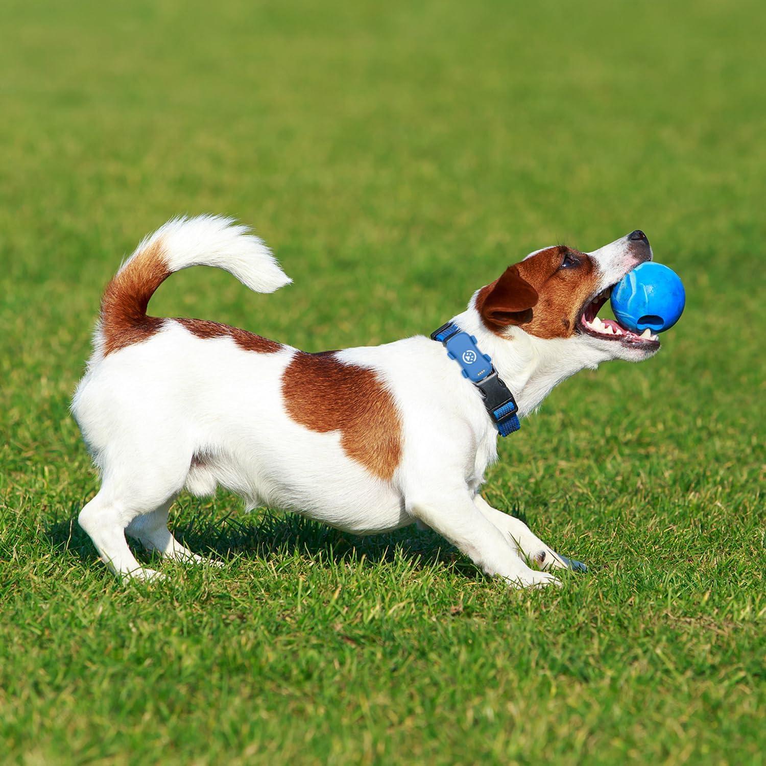 Rastreador GPS para Mascotas SUOFEIYA - Impermeable y en Tiempo Real