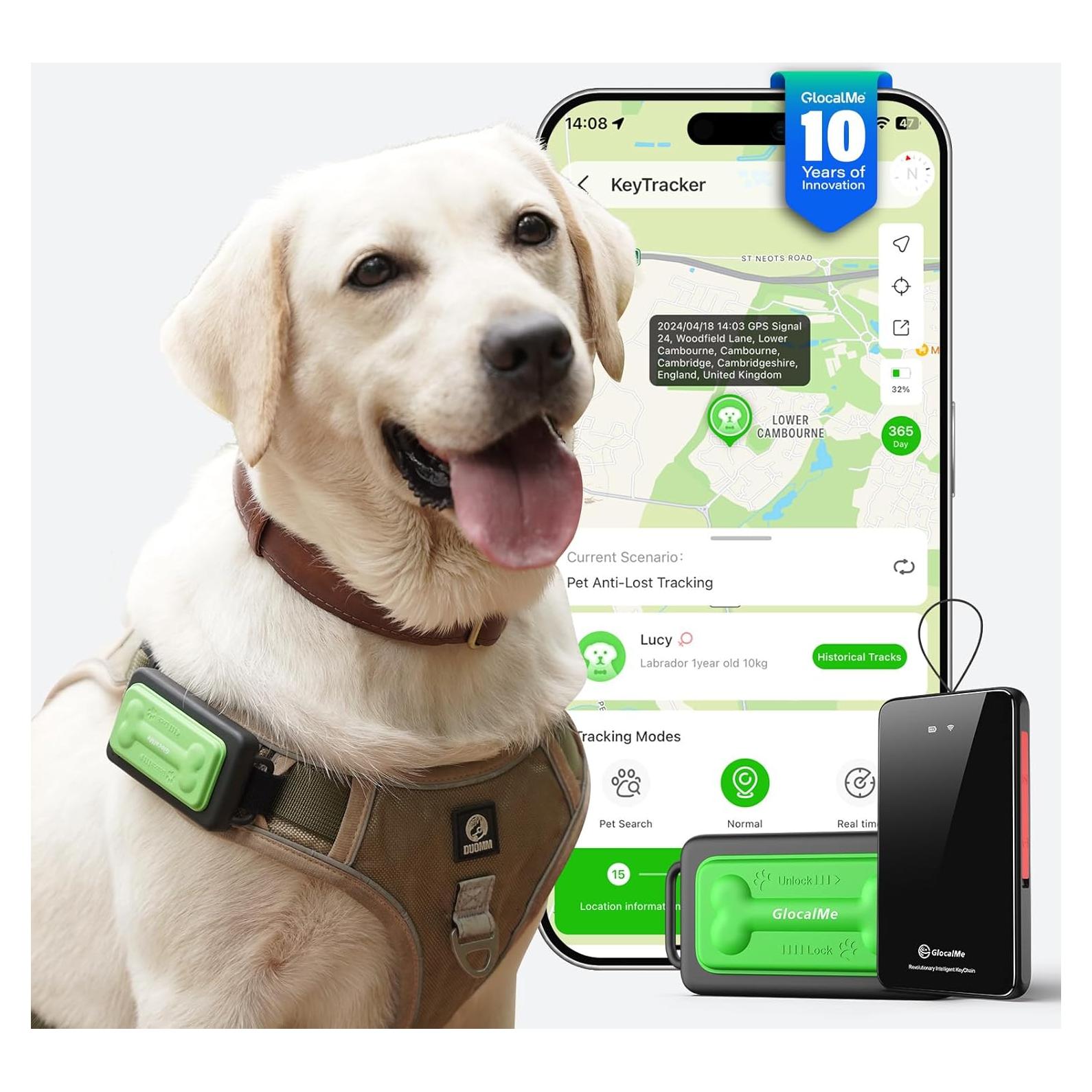 Rastreador GPS GlocalMe KeyTracker para Perros - Impermeable