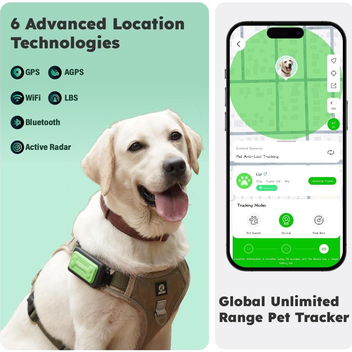 Rastreador GPS GlocalMe KeyTracker para Perros - Impermeable