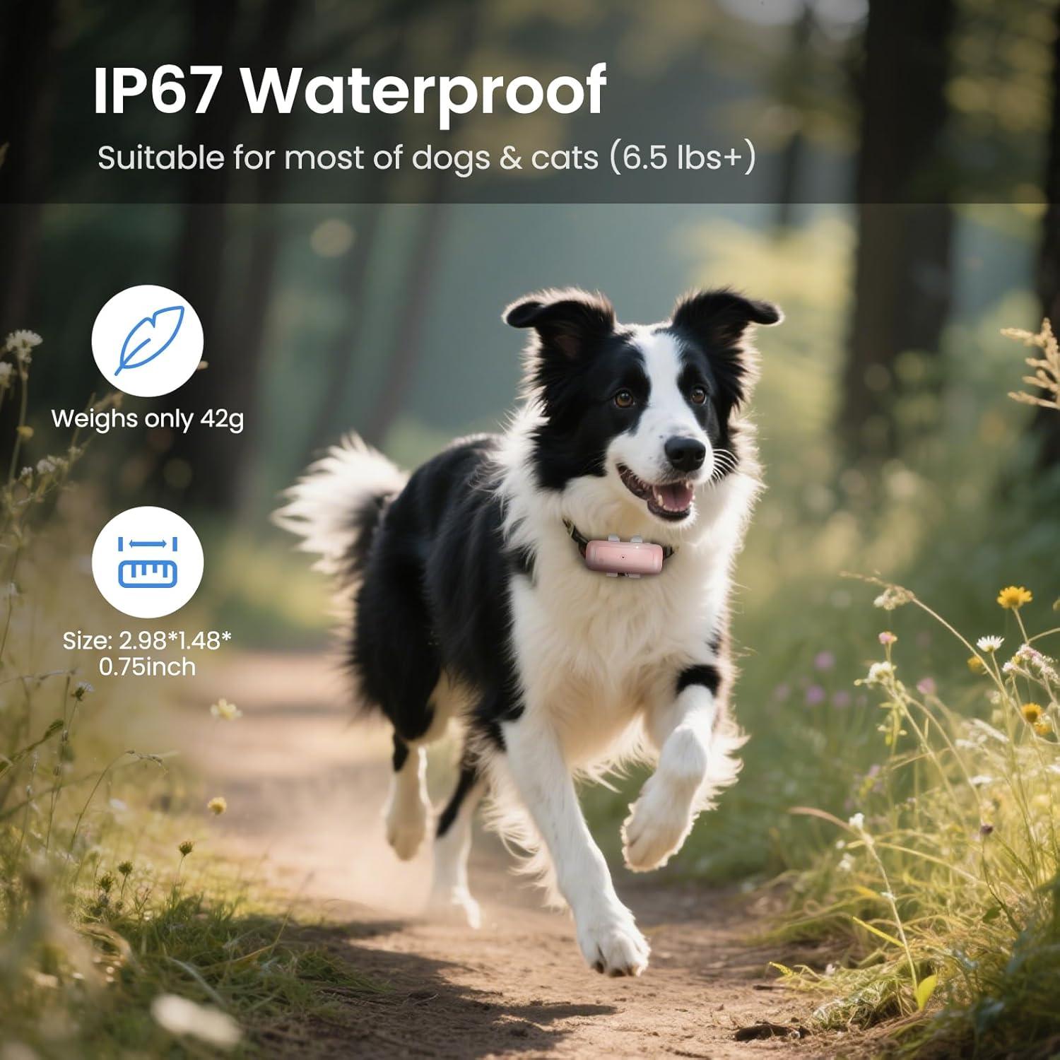 Rastreador GPS Mini TSKWUDA Impermeable para Gatos y Perros