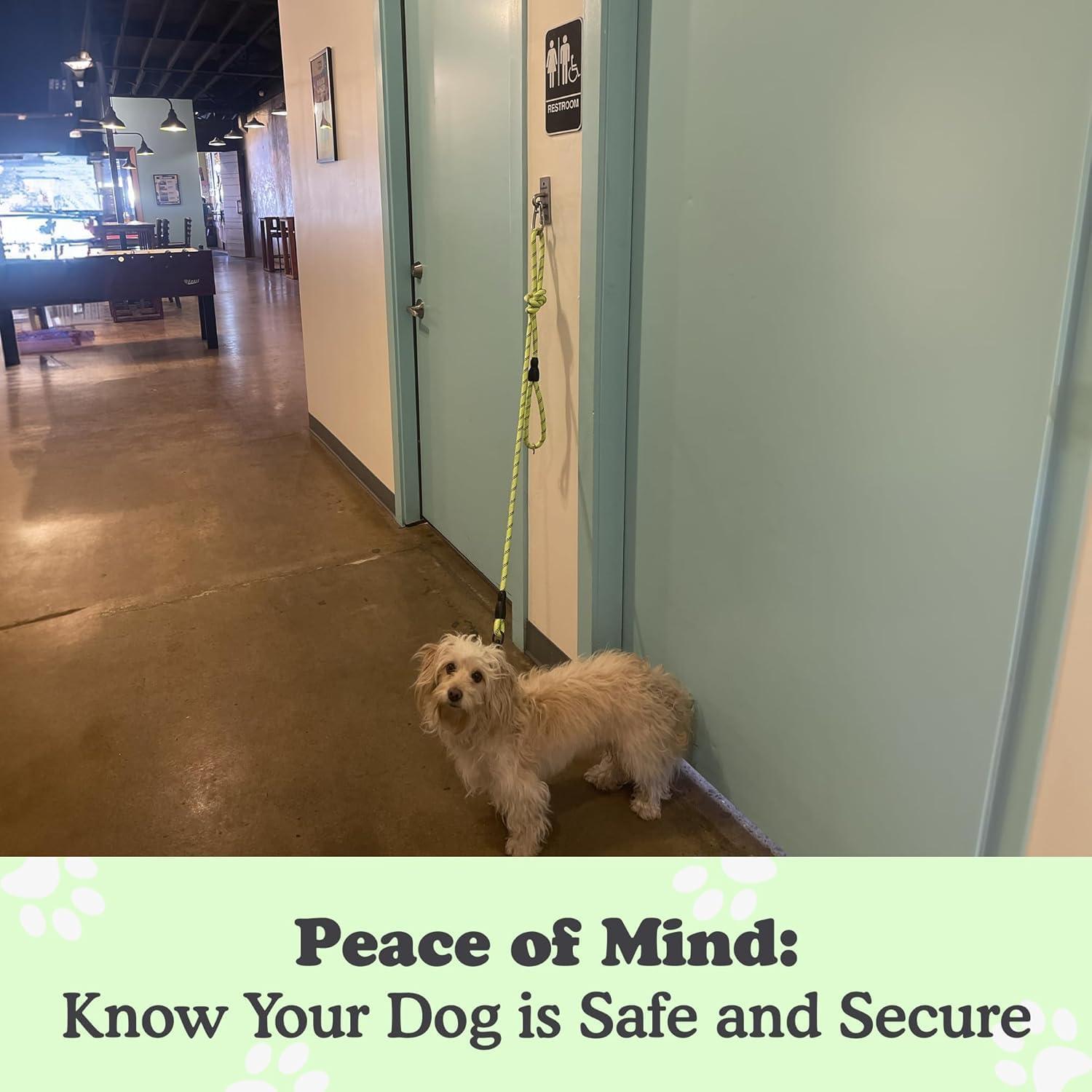 Gancho Canino Doghook - Soporte de Correa de Acero Inoxidable 2 Unidades