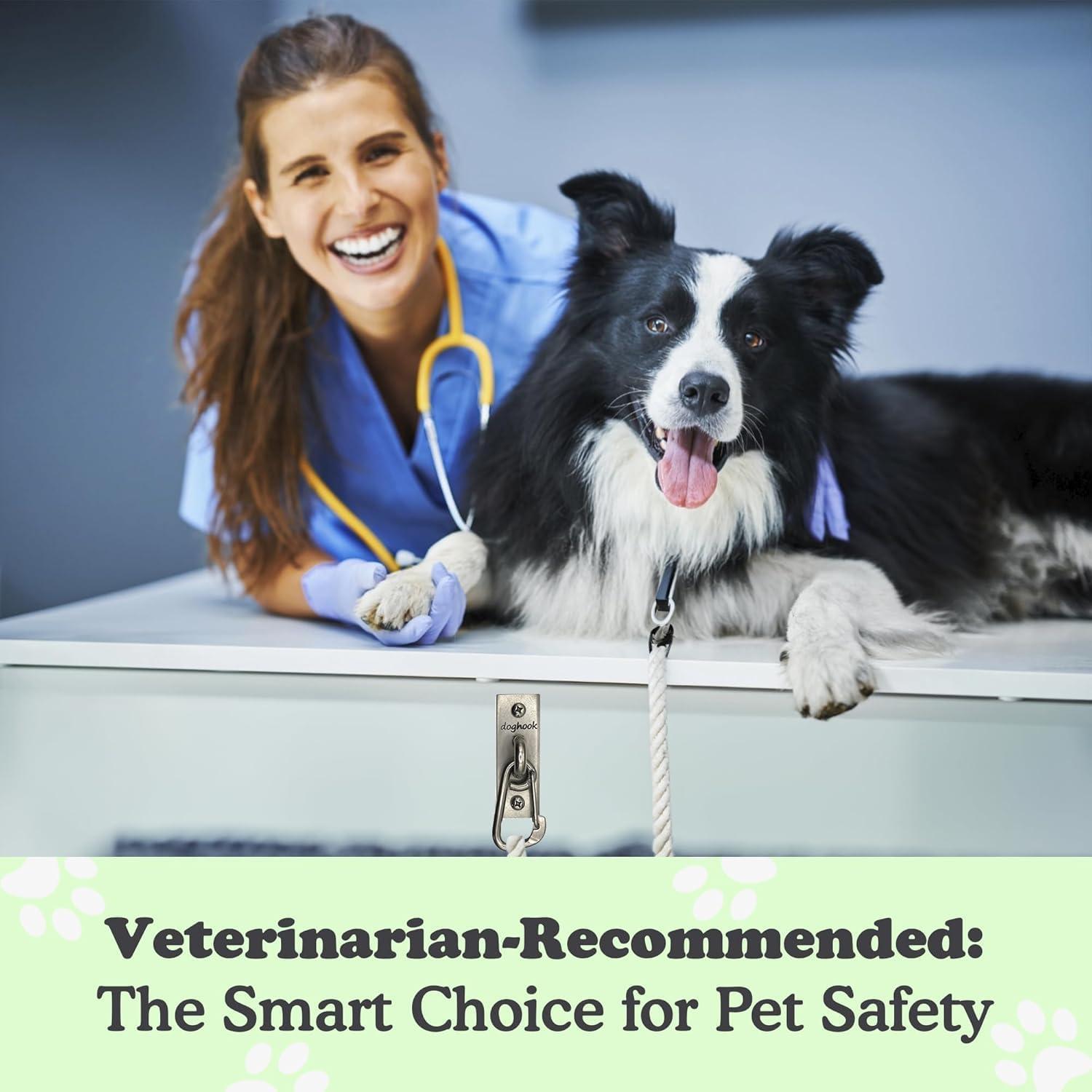 Gancho Canino Doghook - Soporte de Correa de Acero Inoxidable 2 Unidades