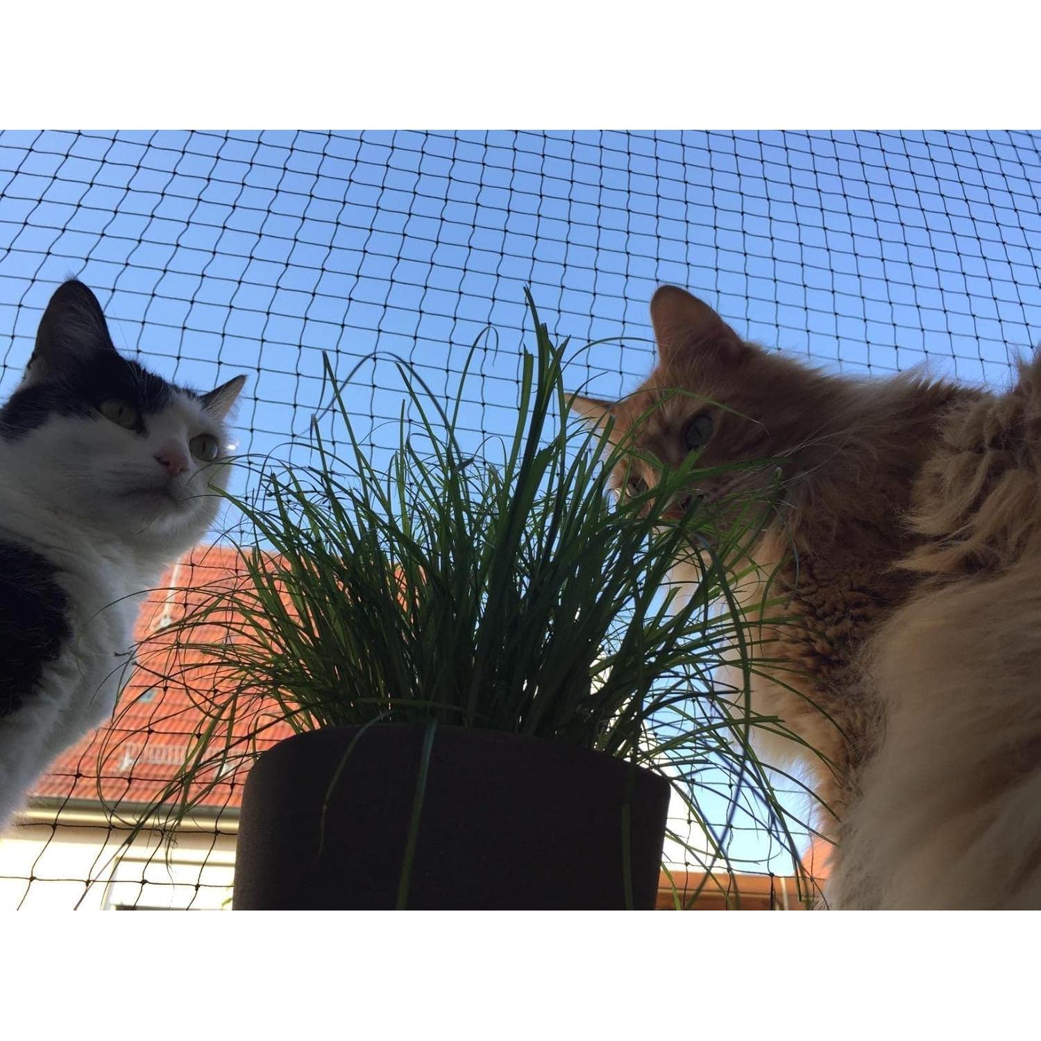 Red de balcón para gatos AnExer 3x8m Nylon Anticaída