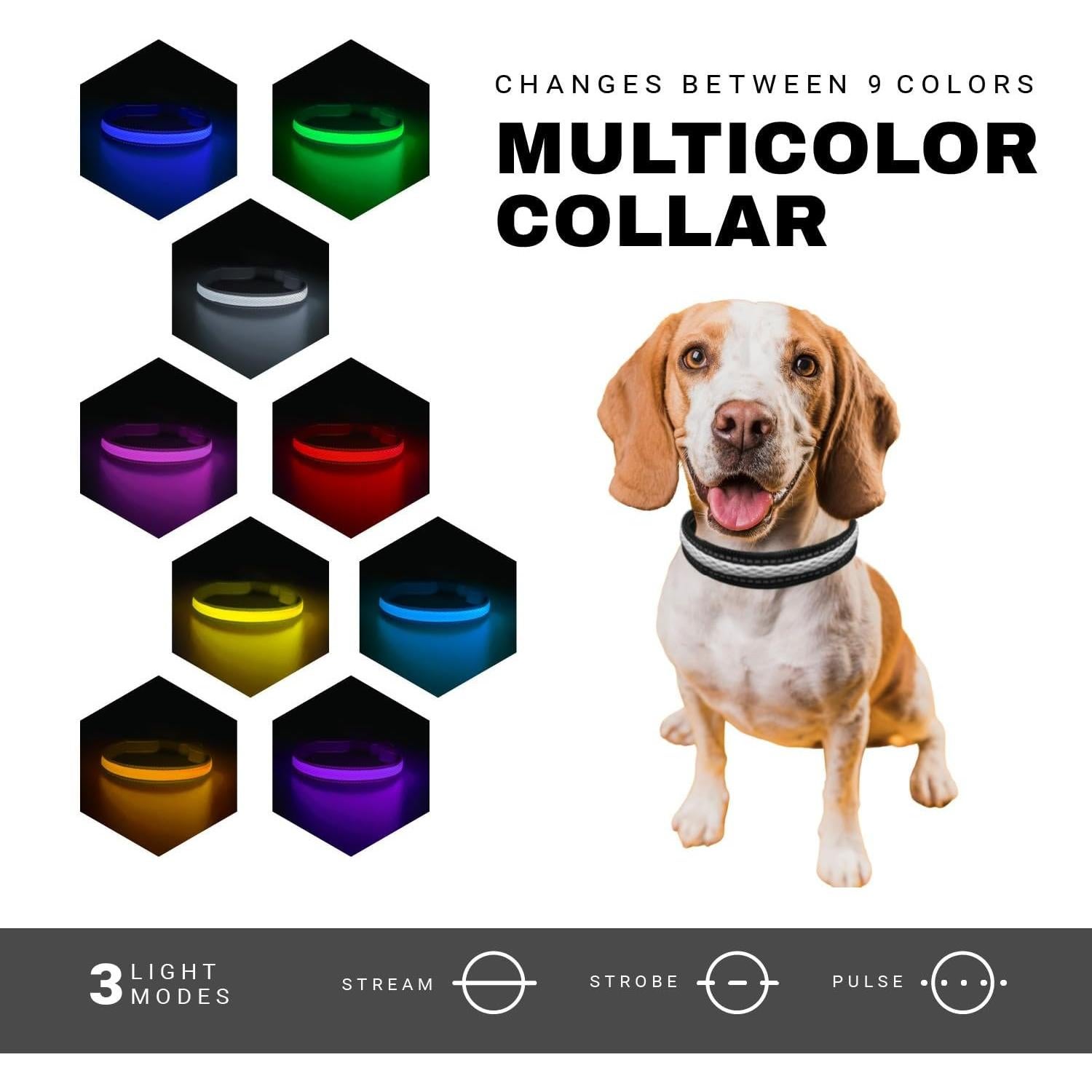 Collar LED para Perros ZAPRIX Mediano Multicolor Resistente al Agua