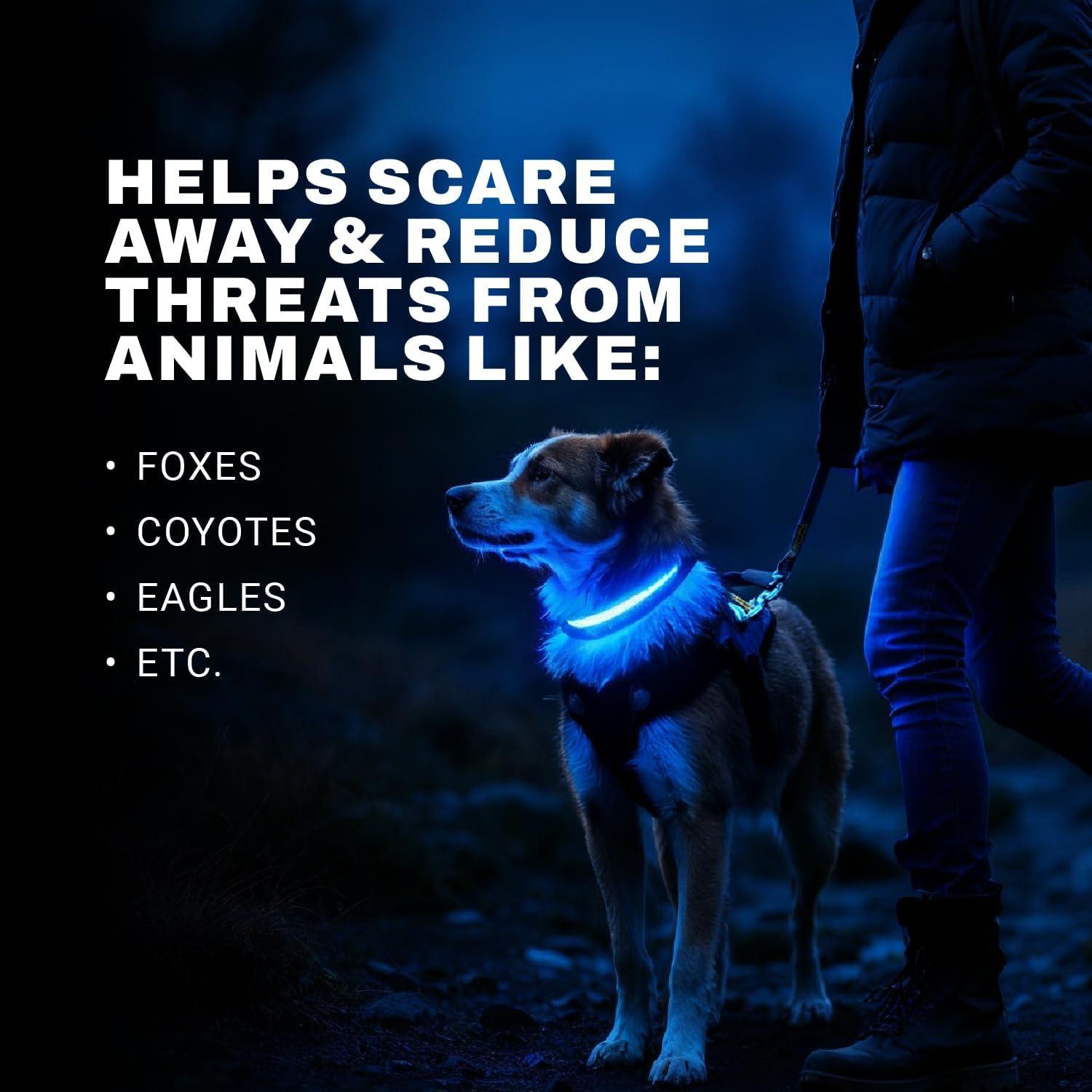 Collar LED para Perros ZAPRIX Mediano Multicolor Resistente al Agua