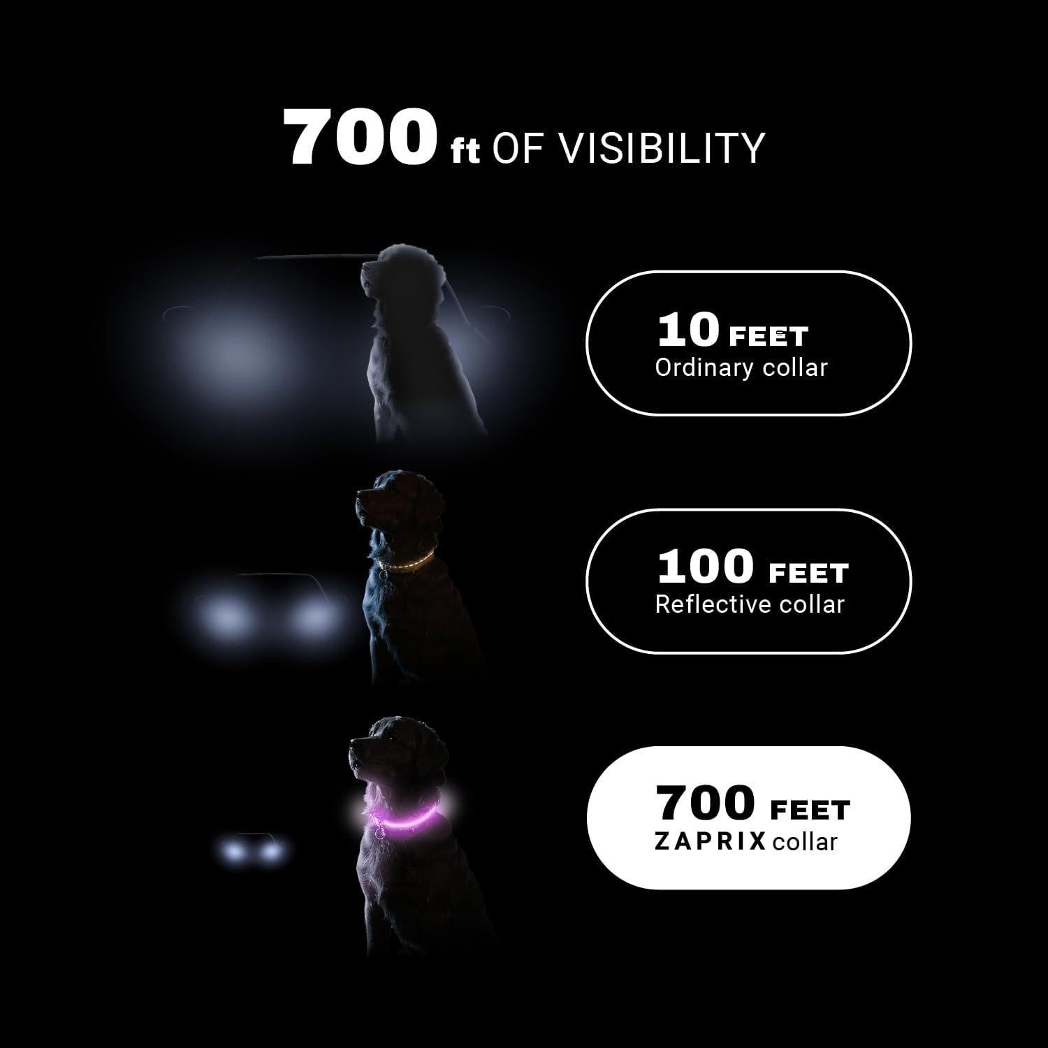 Collar LED para Perros ZAPRIX Mediano Multicolor Resistente al Agua